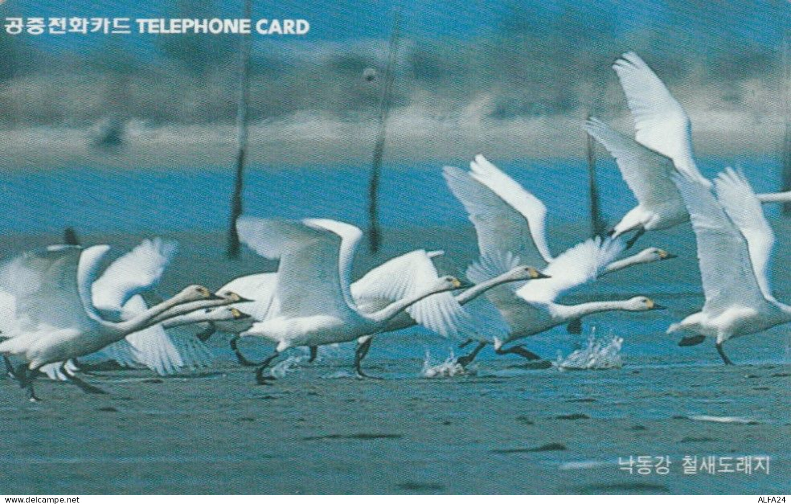PHONE CARD COREA SUD (E104.43.4 - Korea (Süd)