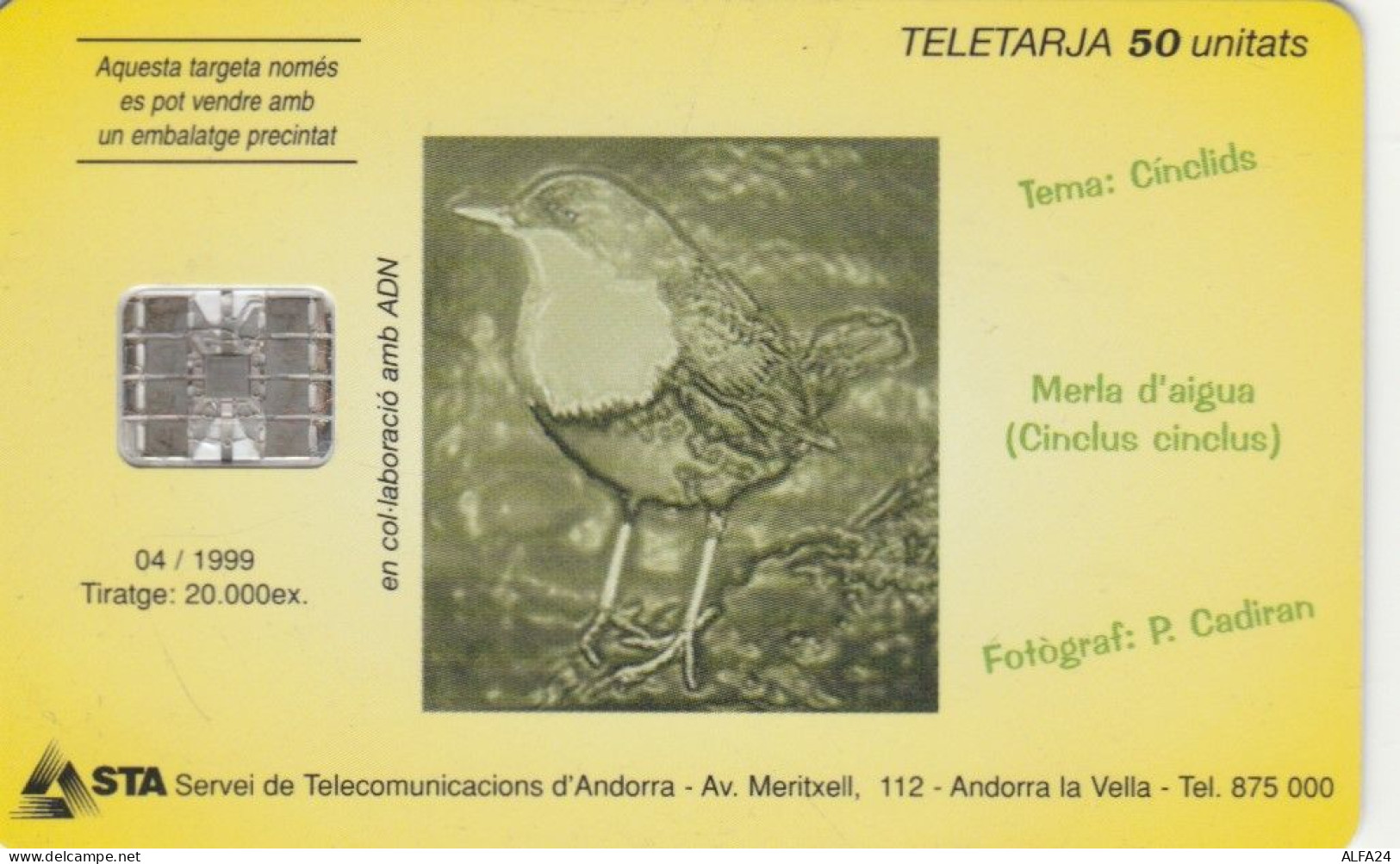 PHONE CARD ANDORRA (E104.30.1 - Andorra