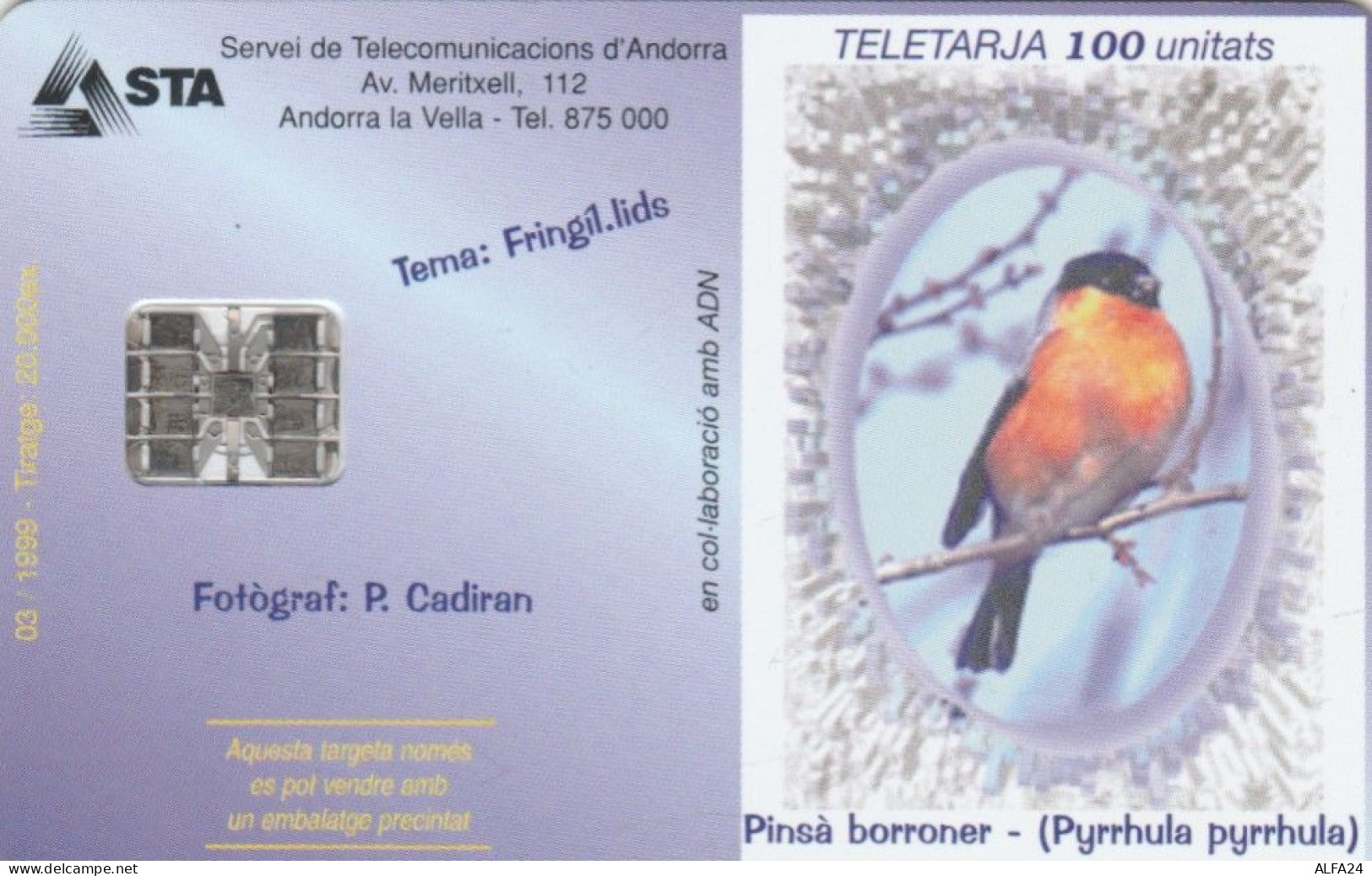 PHONE CARD ANDORRA (E104.29.8 - Andorre