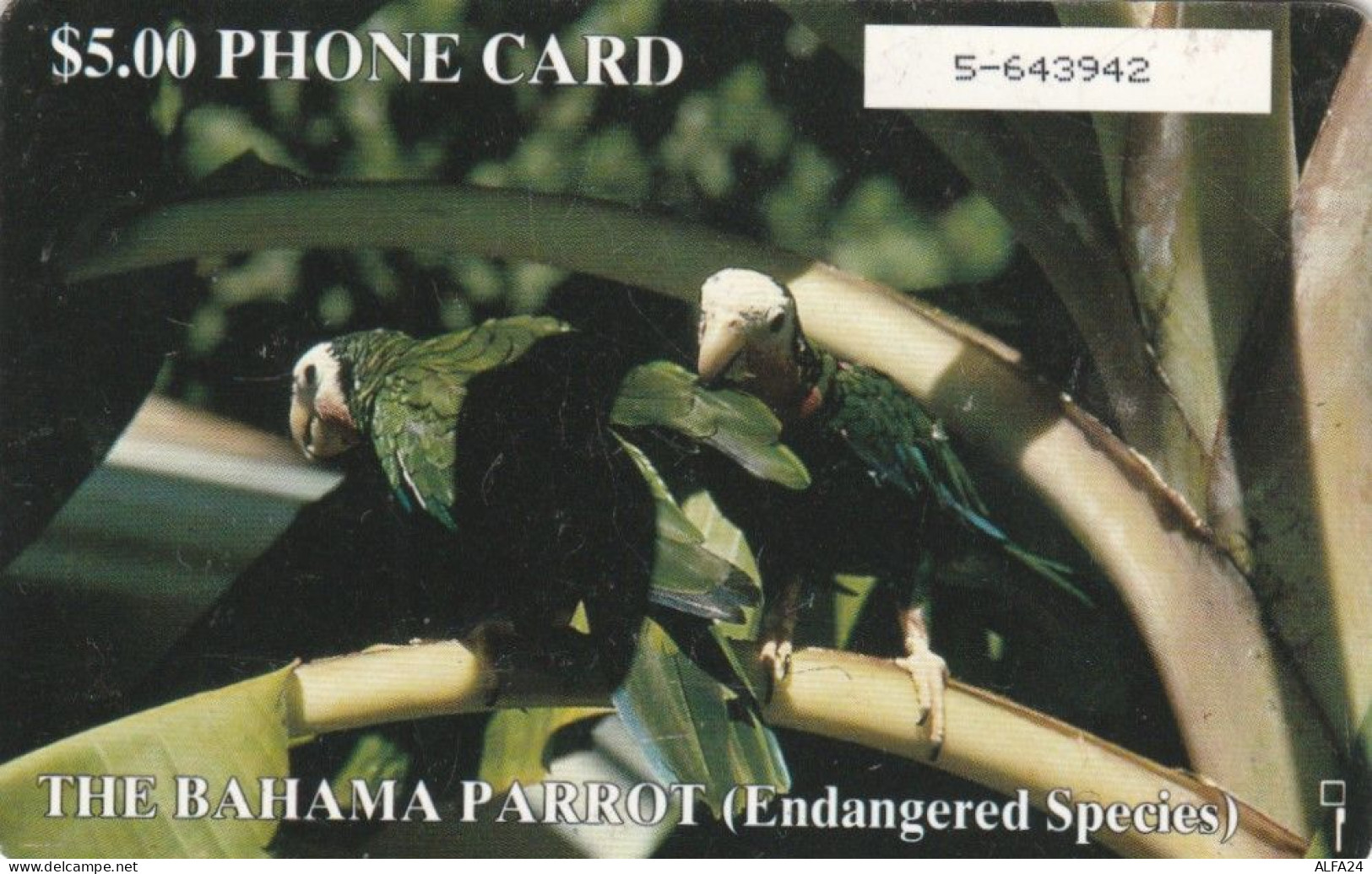 PHONE CARD BAHAMAS  (E105.31.6 - Bahama's