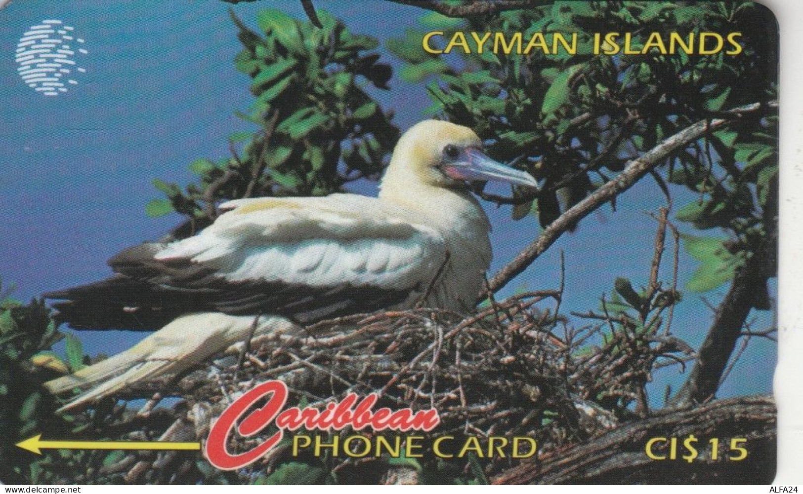 PHONE CARD CAYMAN ISLANDS  (E105.30.1 - Iles Cayman