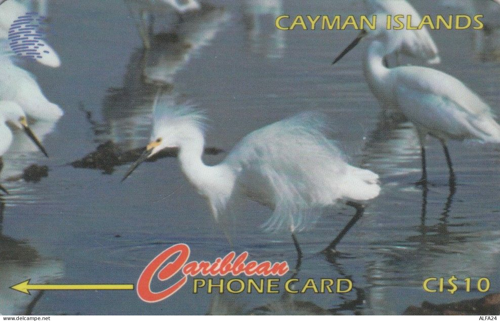 PHONE CARD CAYMAN ISLANDS  (E105.29.3 - Kaaimaneilanden