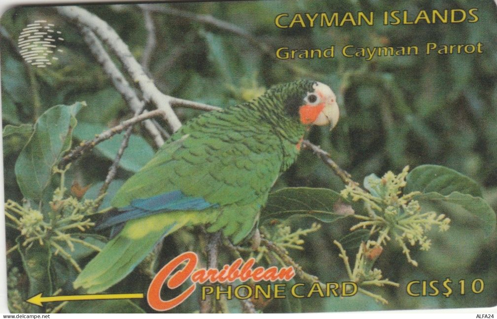 PHONE CARD CAYMAN ISLANDS  (E105.29.2 - Islas Caimán