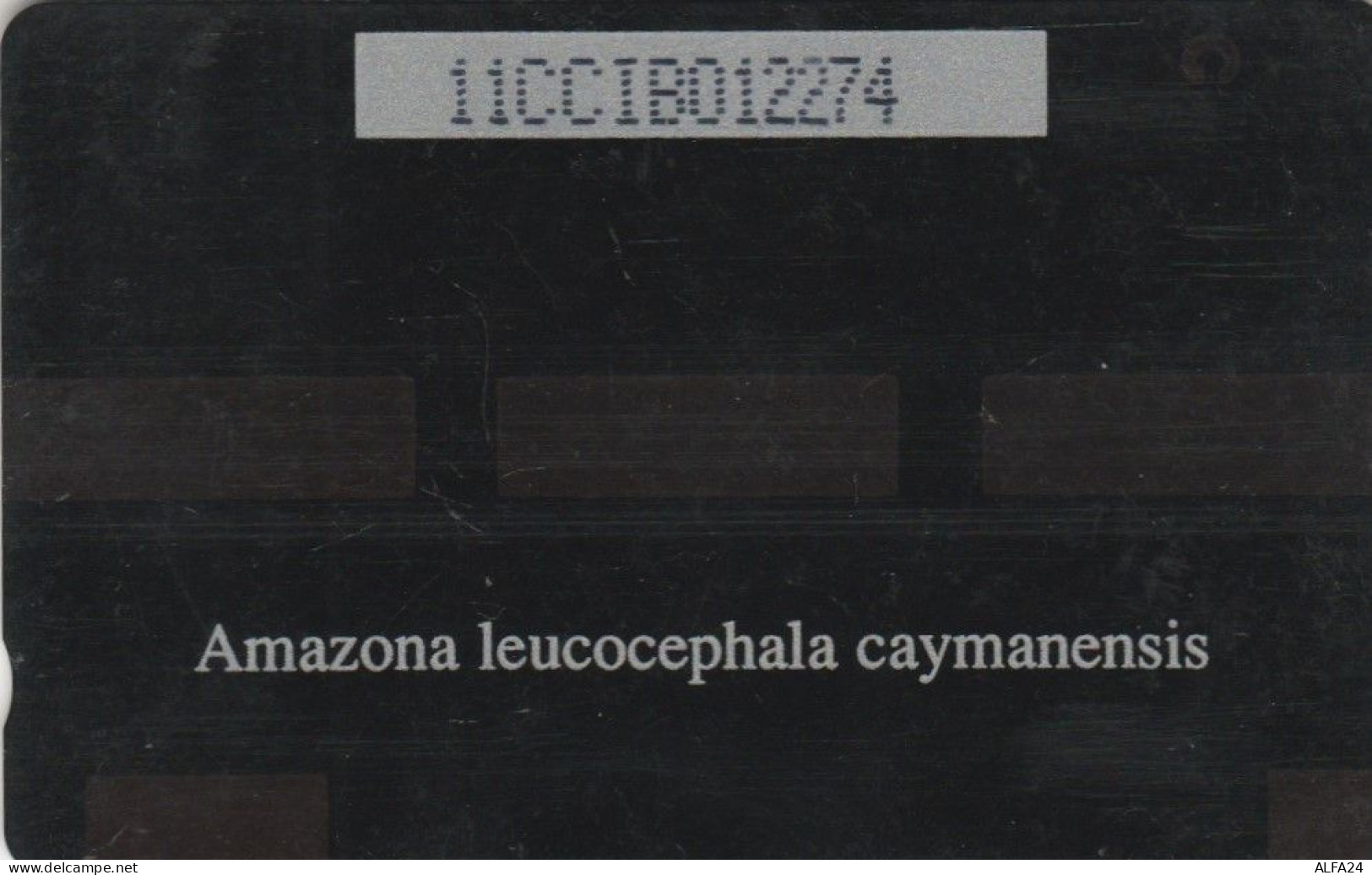 PHONE CARD CAYMAN ISLANDS  (E105.29.2 - Iles Cayman