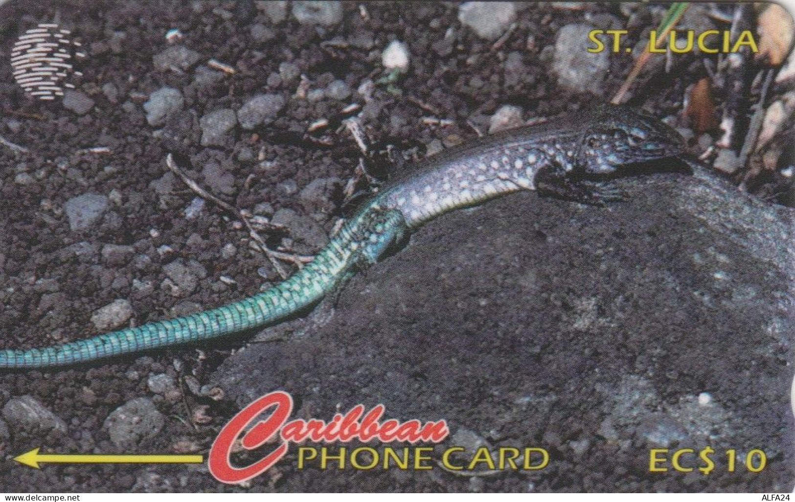 PHONE CARD ST LUCIA  (E105.20.3 - Sainte Lucie