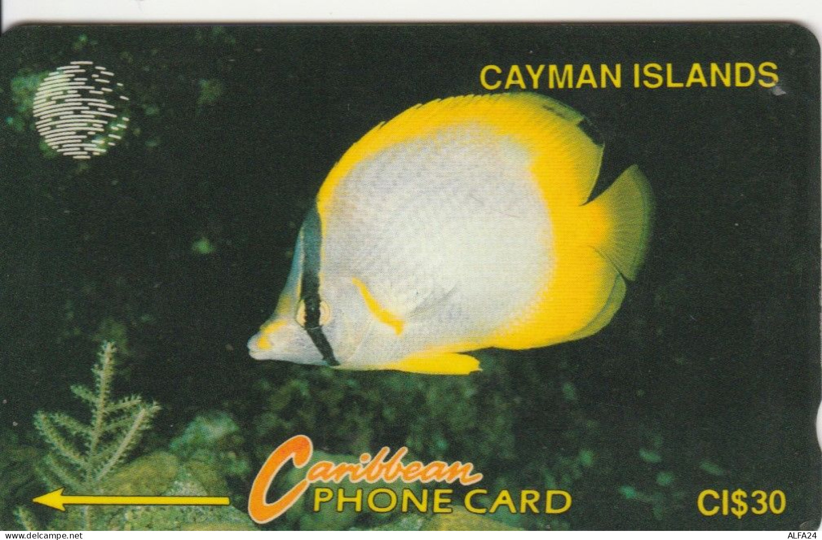 PHONE CARD CAYMAN ISLANDS  (E105.9.7 - Iles Cayman