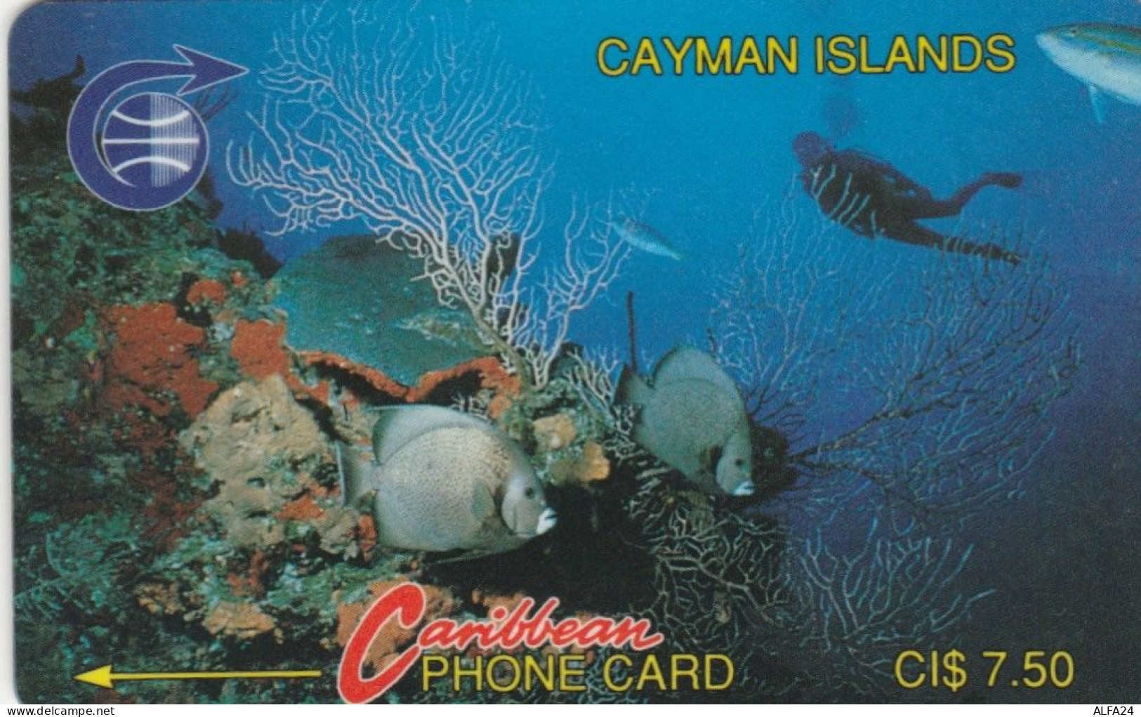 PHONE CARD CAYMAN ISLANDS  (E105.9.4 - Iles Cayman