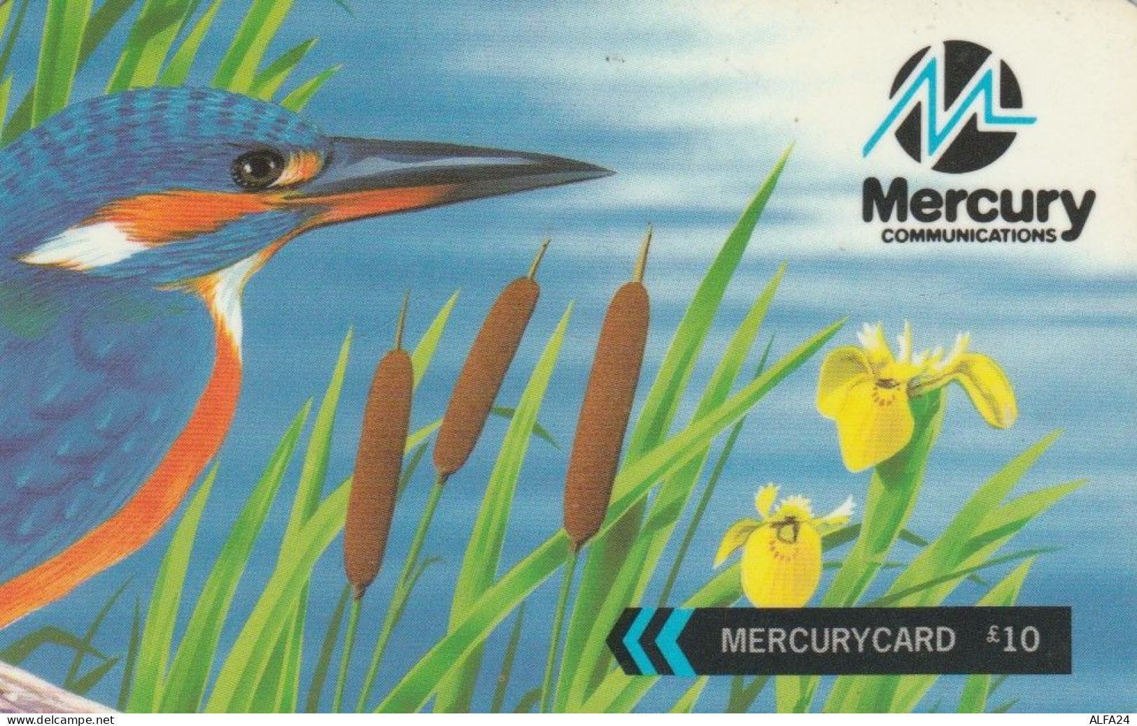 PHONE CARD MERCURY-REGNO UNITO  (E105.7.3 - [ 4] Mercury Communications & Paytelco