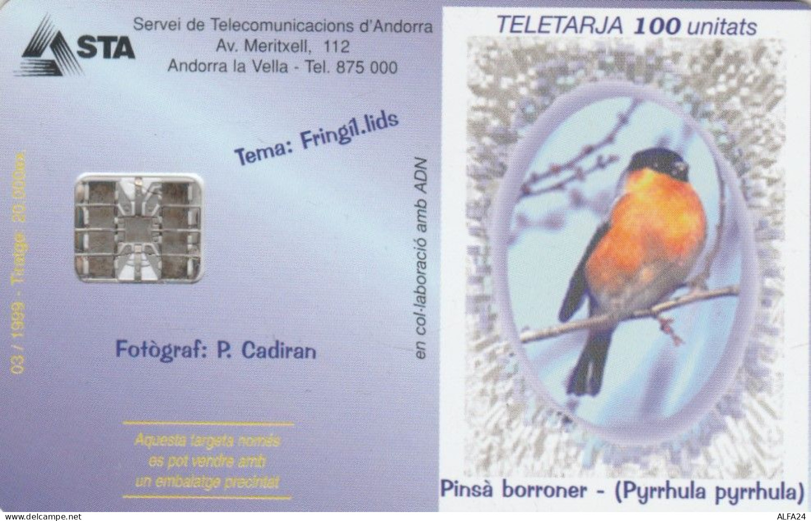 PHONE CARD ANDORRA  (E106.40.4 - Andorre