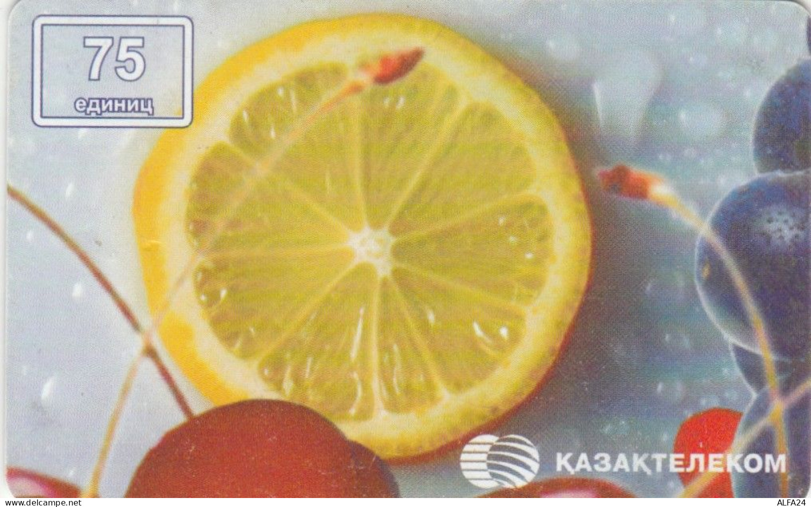 PHONE CARD KAZAKISTAN  (E106.6.4 - Kazakhstan