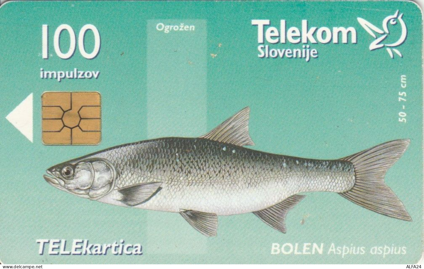 PHONE CARD SLOVENIA  (E107.12.7 - Slovenia