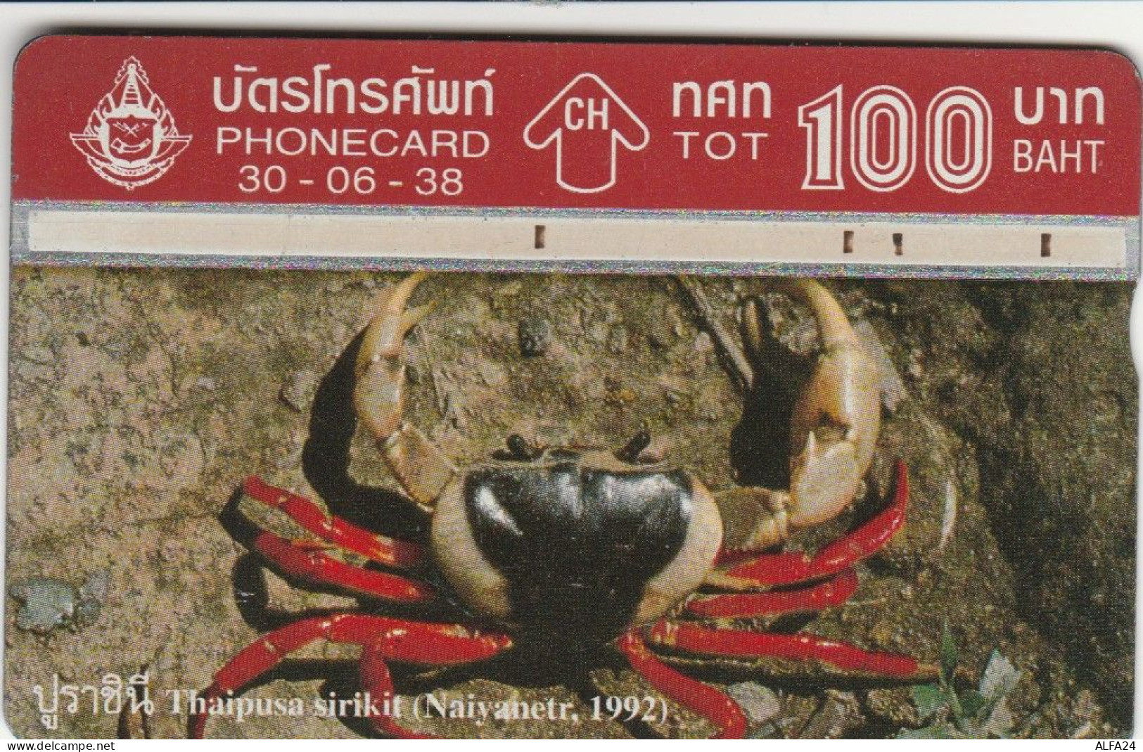 PHONE CARD TAILANDIA  (E107.13.2 - Thailand