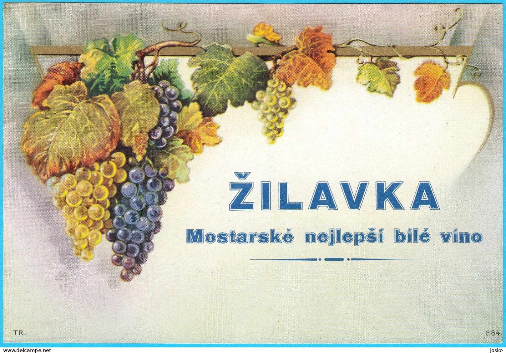 ŽILAVKA (Mostar) Bosnia And Herzegovin Vintage Pre-WW2 Wine Label From 1920s * White Wine Weisswein Vin Blanc Vino Wein - Vino Bianco