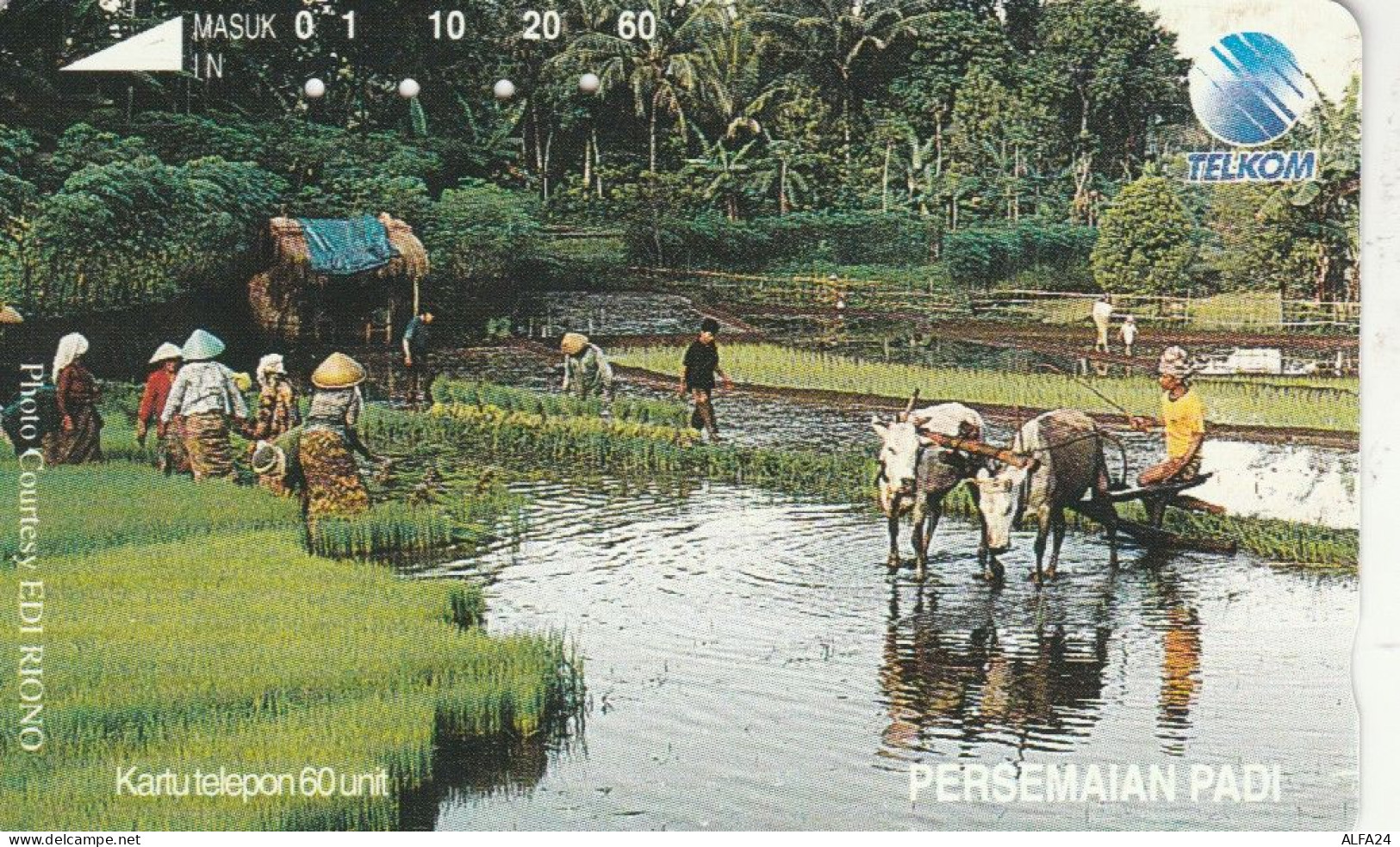 PHONE CARD INDONESIA  (E108.53.1 - Indonésie