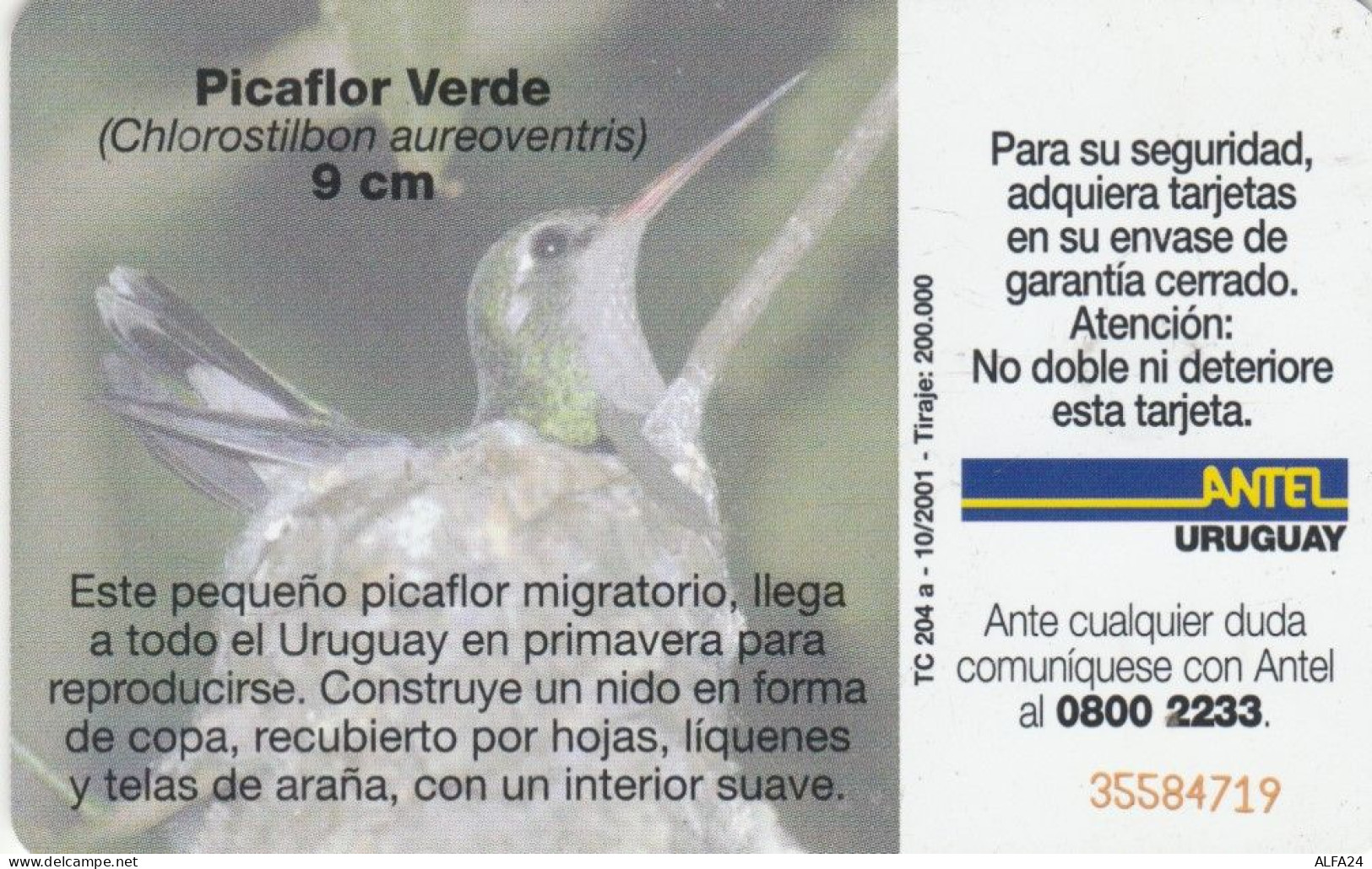 PHONE CARD URUGUAY  (E108.50.4 - Uruguay