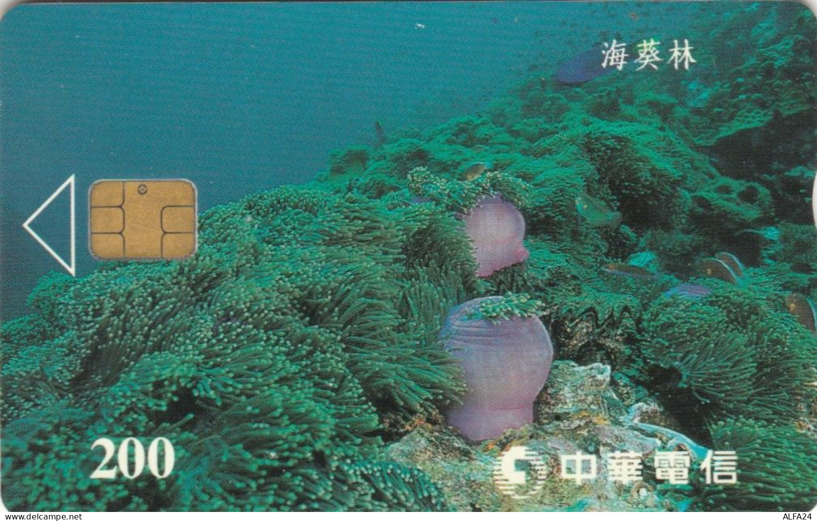 PHONE CARD TAIWAN CHIP  (E108.48.4 - Taiwan (Formose)