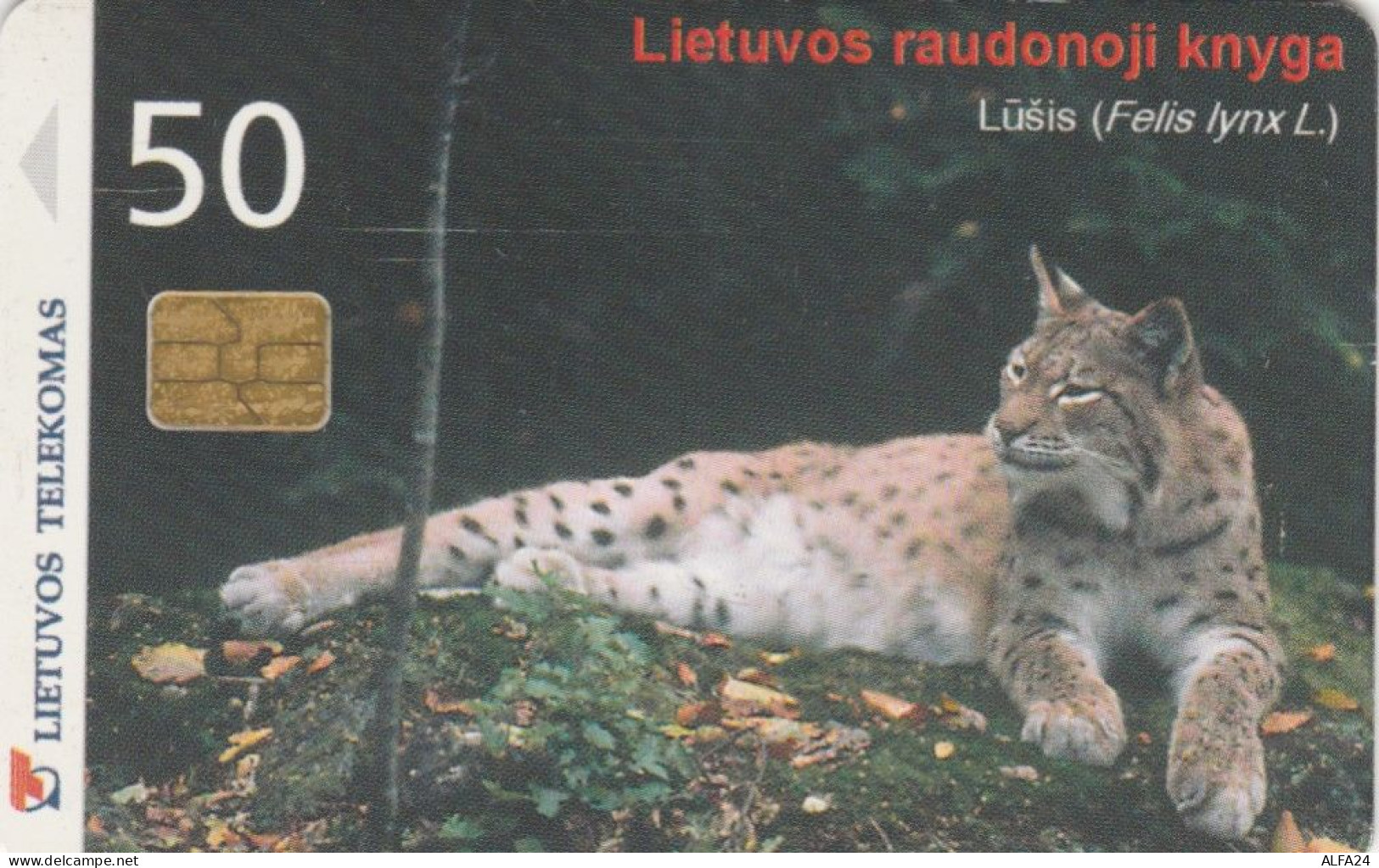 PHONE CARD LITUANIA  (E108.31.8 - Lituania