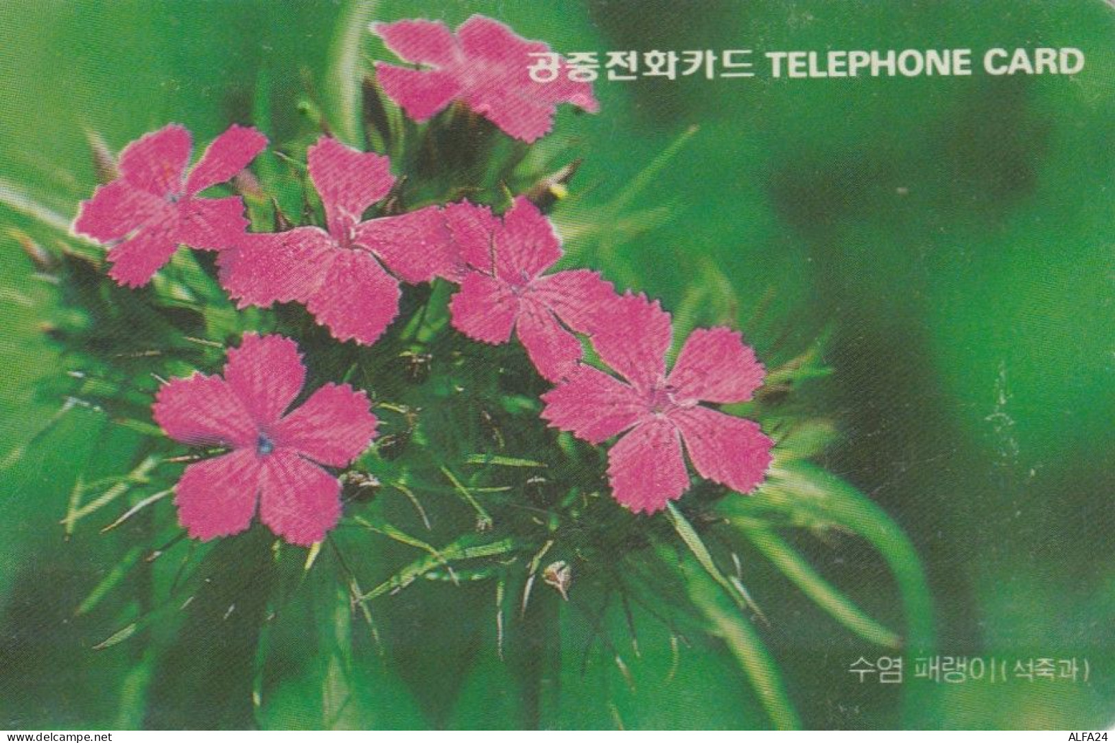 PHONE CARD COREA SUD  (E108.20.5 - Korea (Zuid)