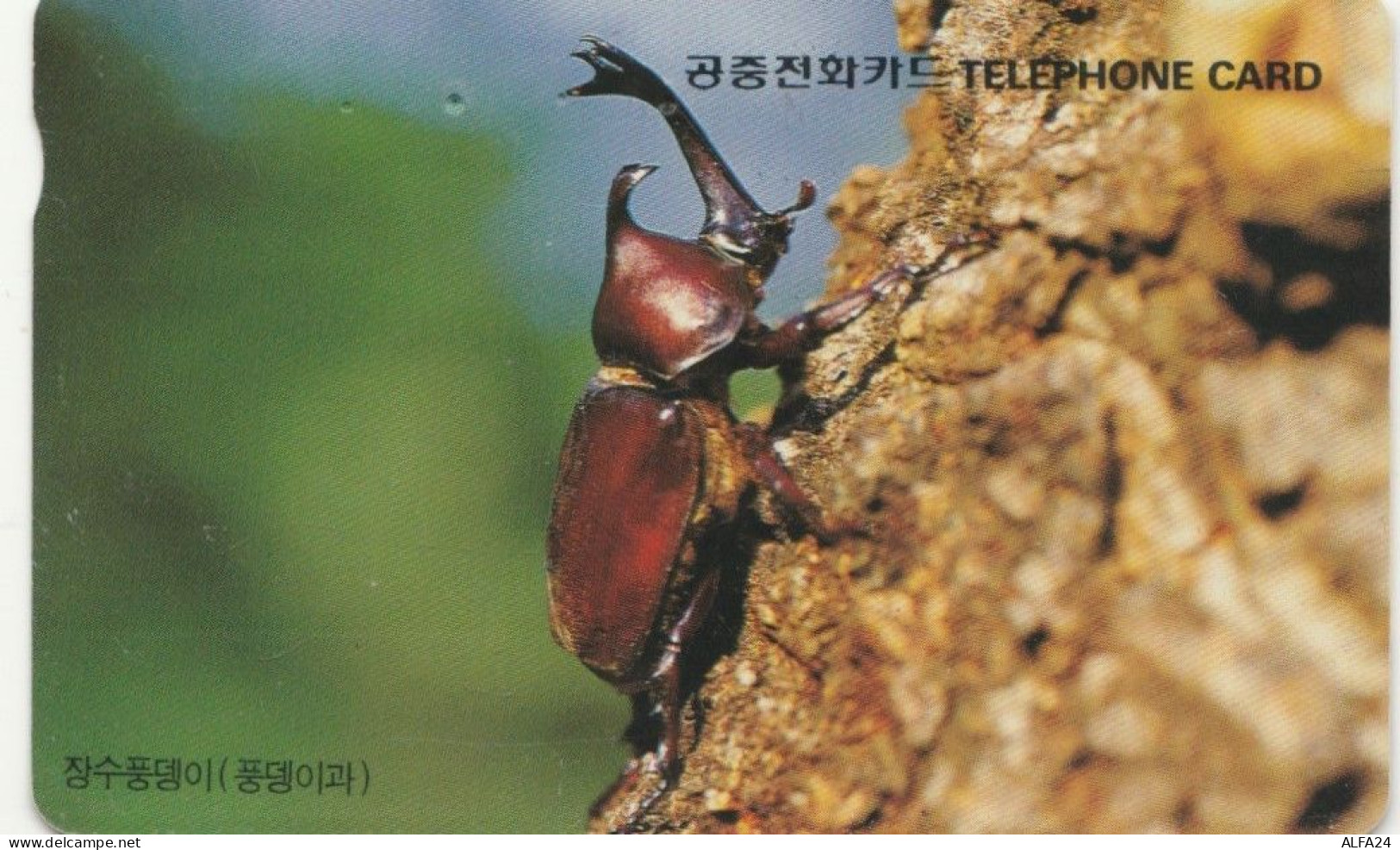 PHONE CARD COREA SUD  (E108.18.4 - Korea, South