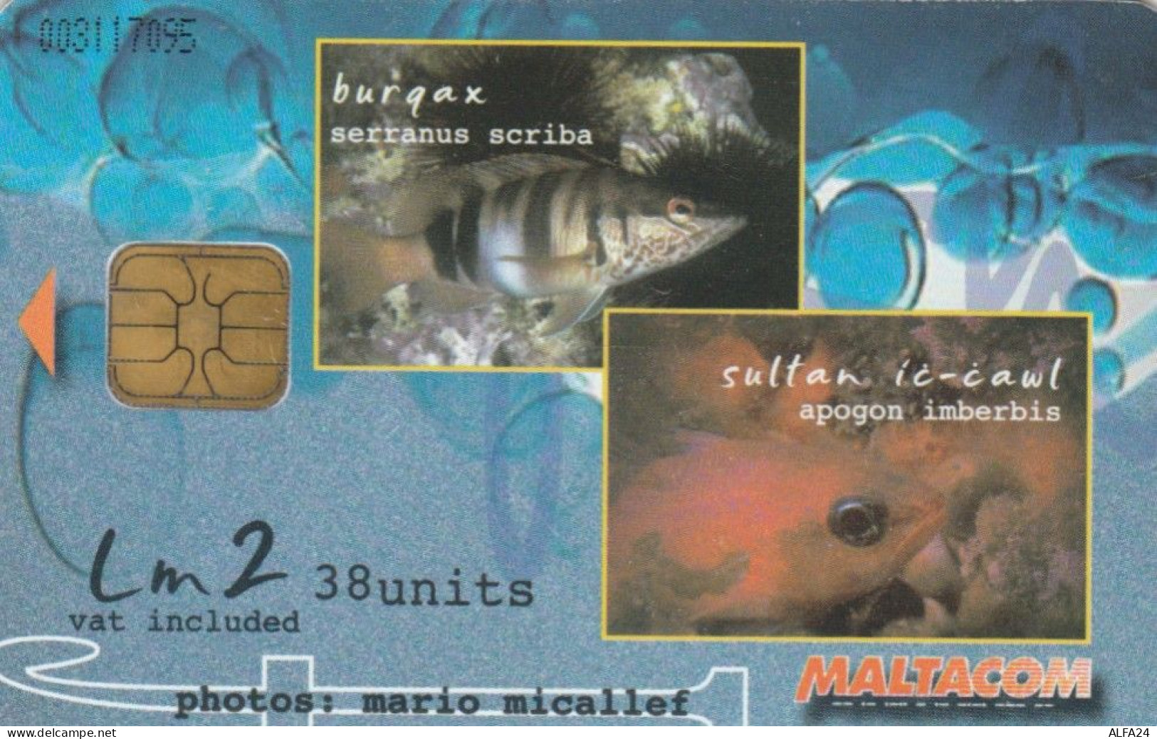 PHONE CARD MALTA  (E108.16.8 - Malte