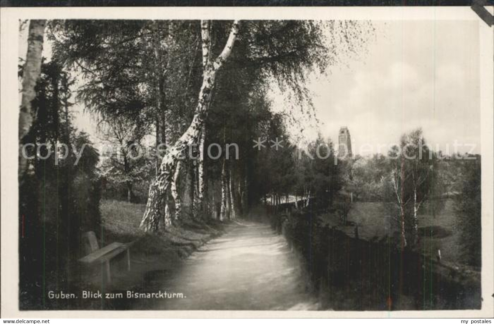 42216069 Guben Blick Zum Bismarckturm Guben - Guben