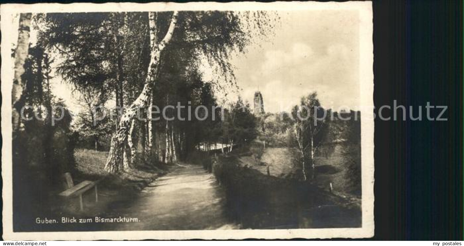 42215922 Guben Blick Zum Bismarckturm Guben - Guben