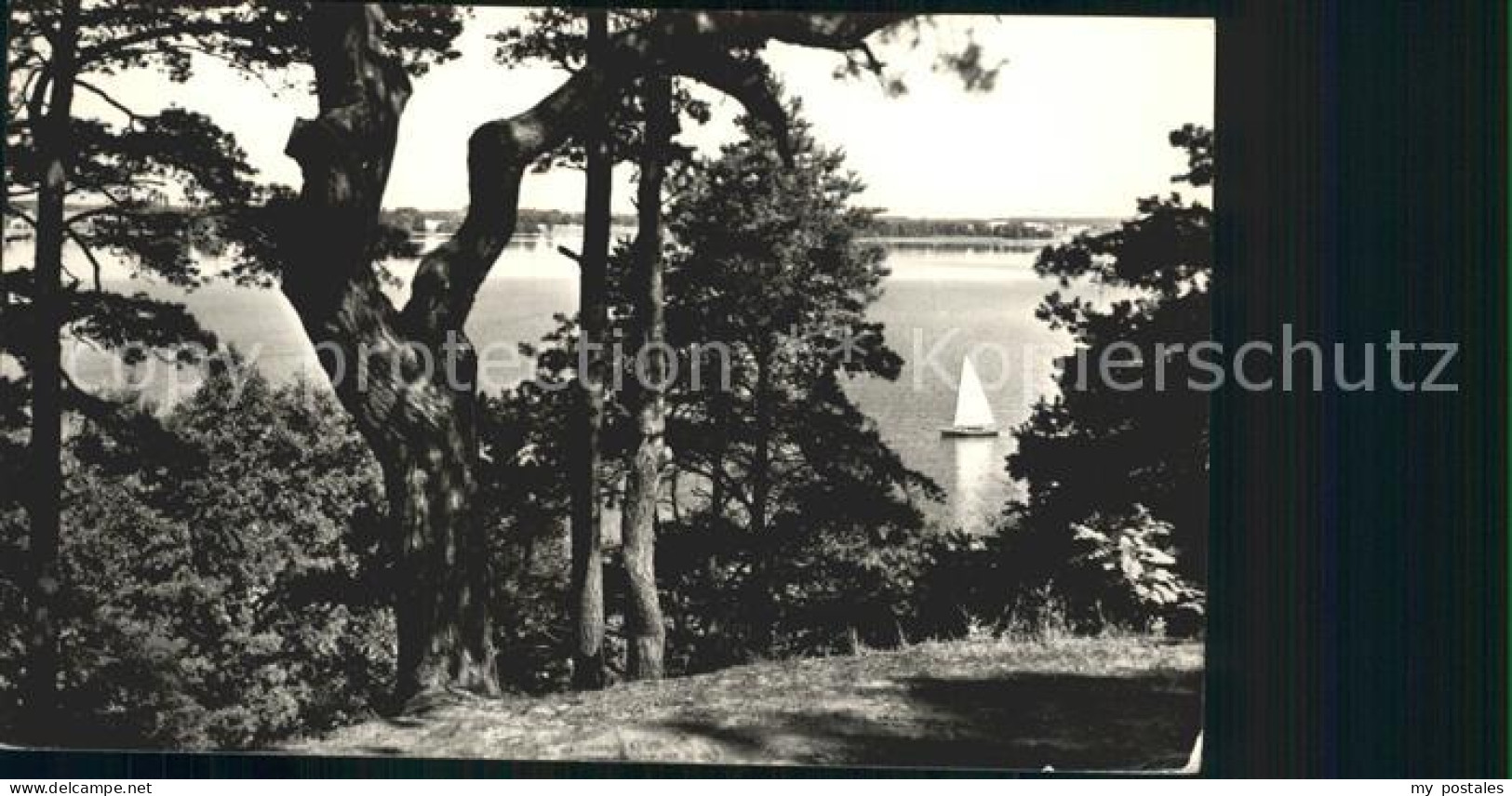 42215920 Goyatz Blick Auf Den Kleinen Schwielochsee Schwielochsee - Goyatz