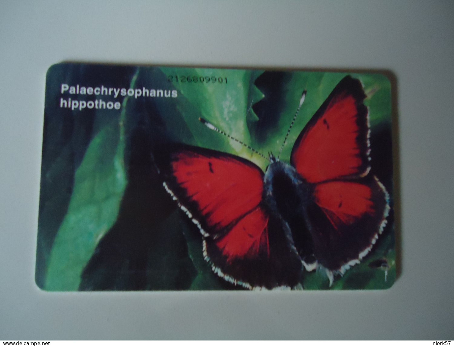 GREECE  USED CARDS  BUTTERFLIES - Papillons