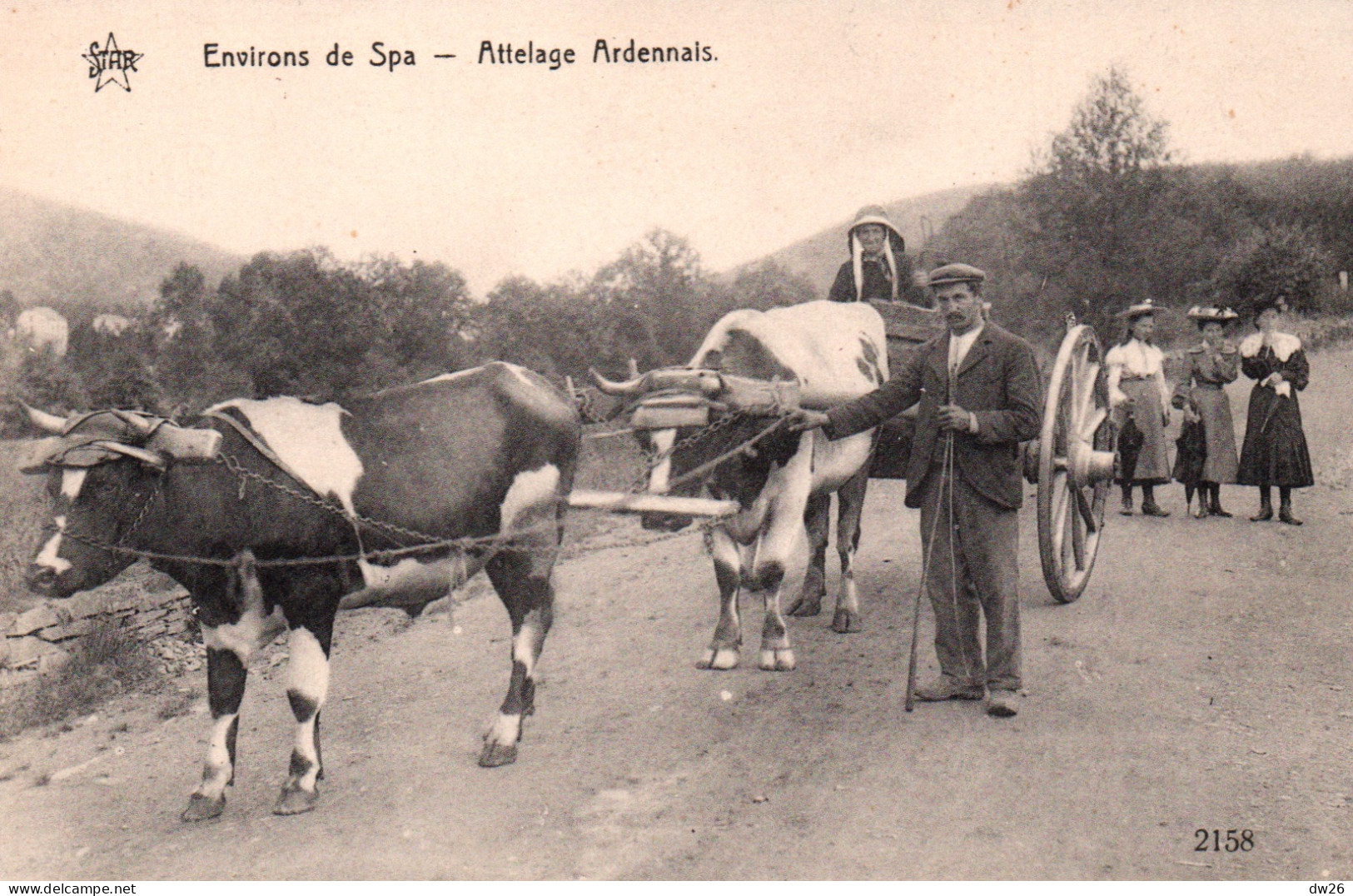 Environ De Spa (Belgique) Un Attelage Ardennais - Héliotypie De Graeve - Carte Star N° 2158 Non Circulée - Attelages