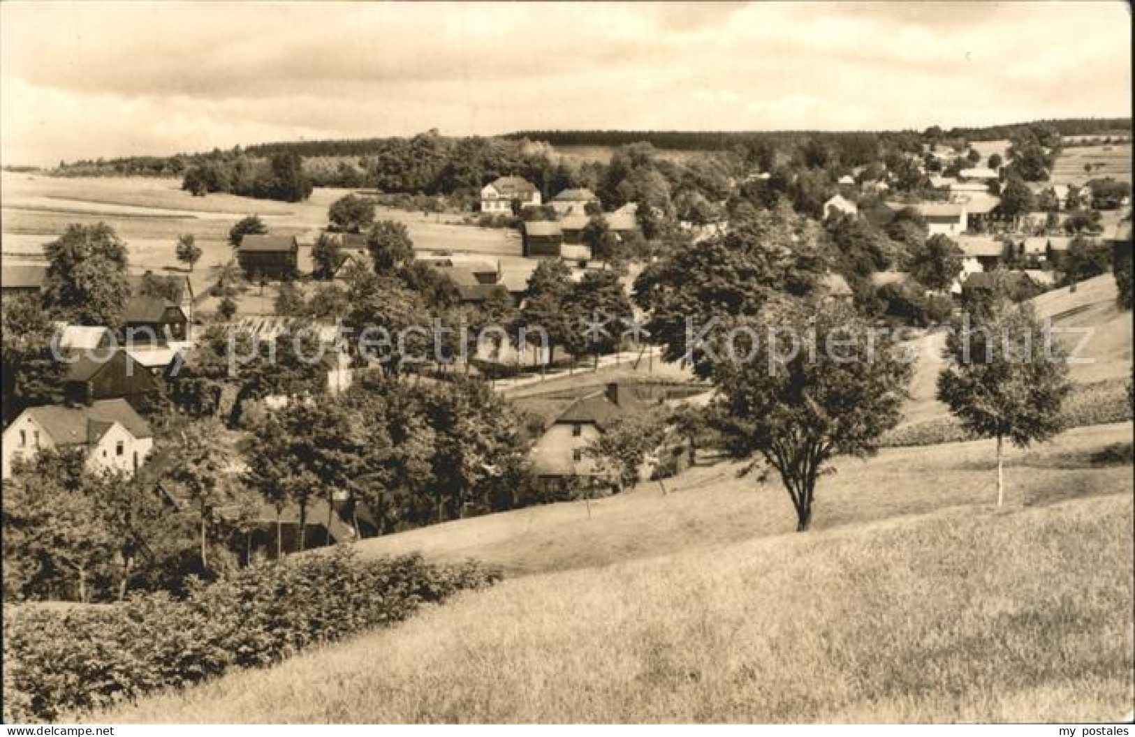 42206834 Wohlhausen Markneukirchen Teilansicht Markneukirchen - Markneukirchen