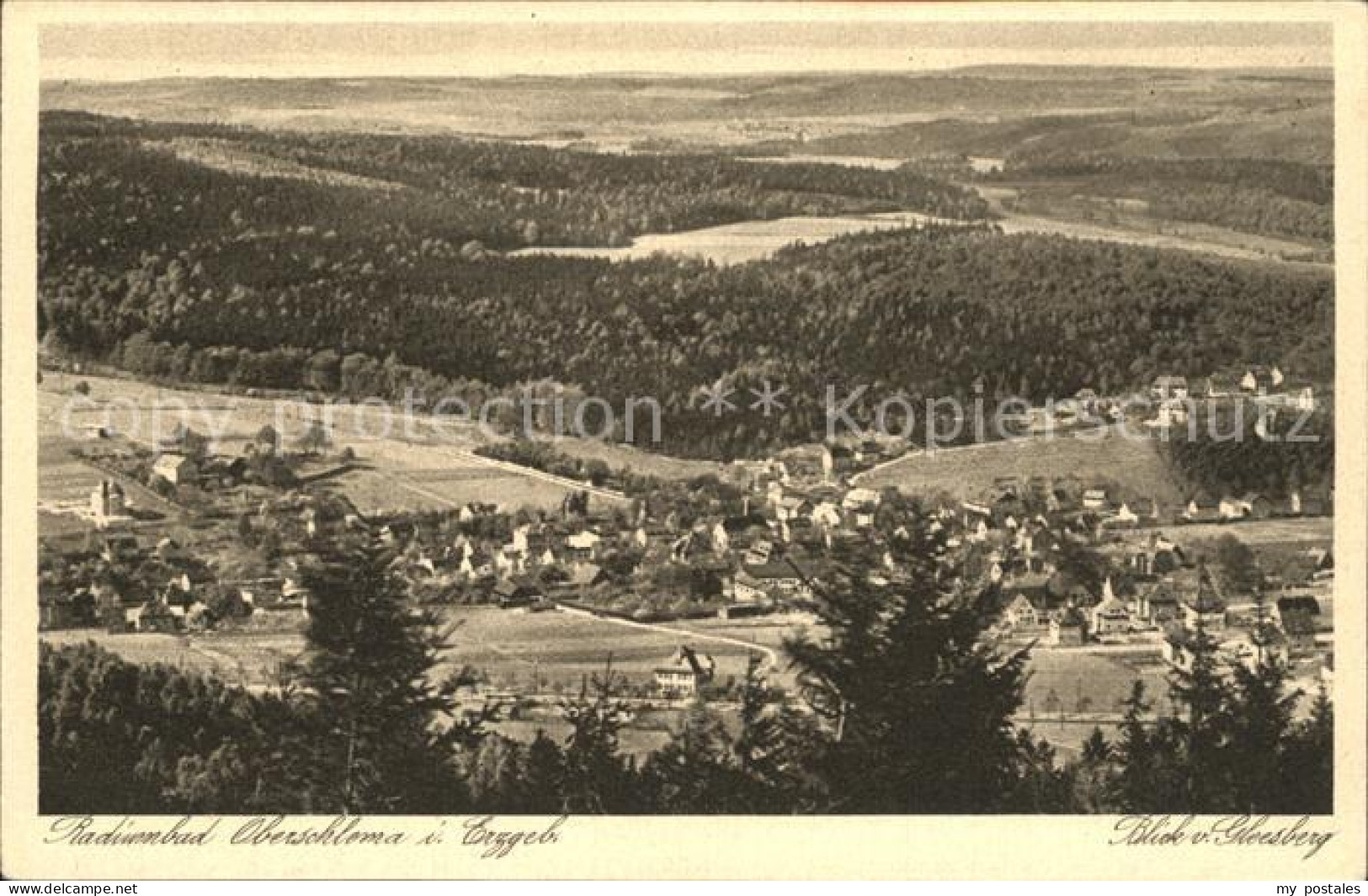 42206812 Oberschlema Erzgebirge Panorama Blick Vom Gleesberg Radiumbad Oberschle - Bad Schlema