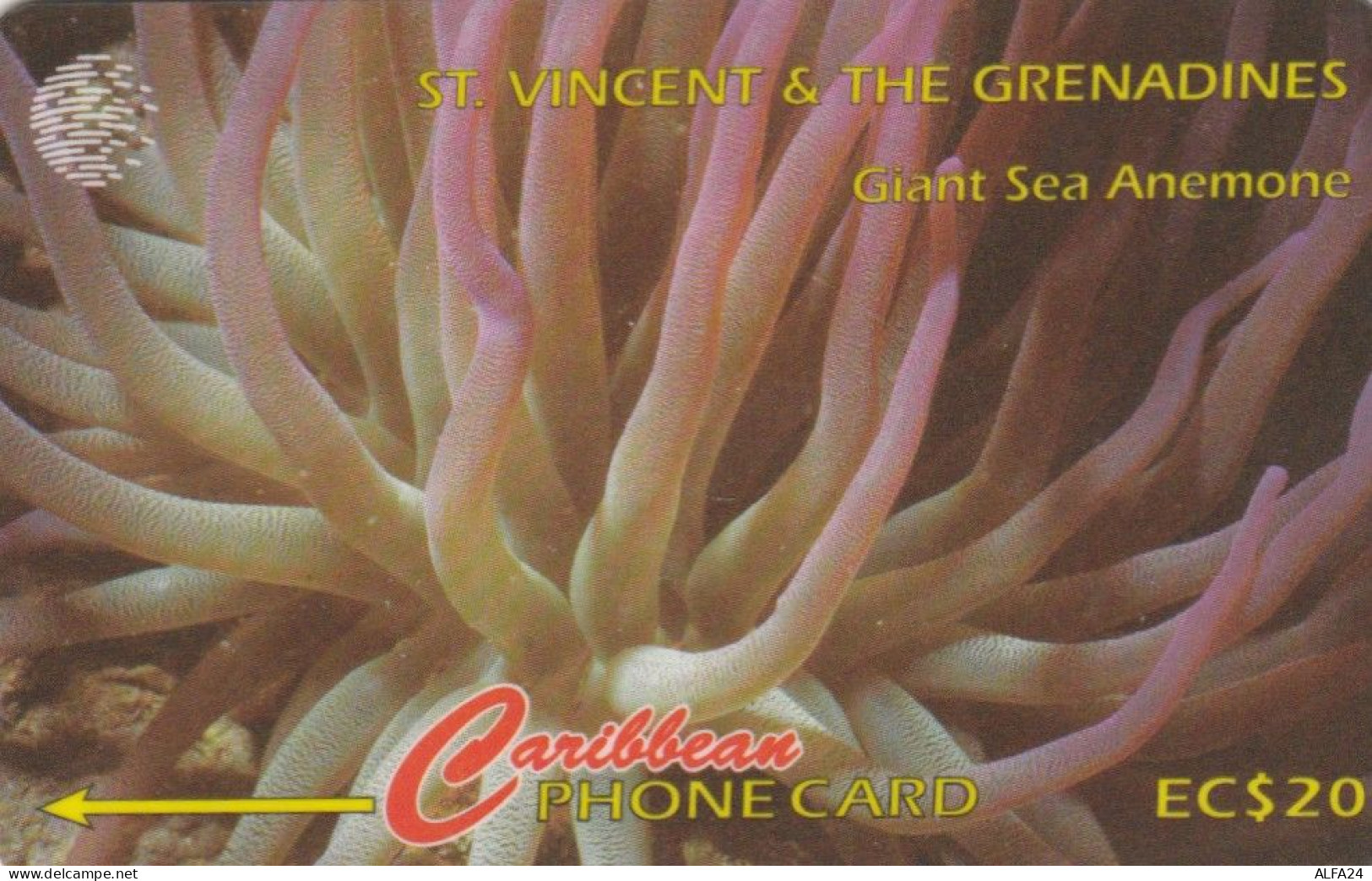 PHONE CARD ST VINCENT GRENADINES  (E109.30.4 - Saint-Vincent-et-les-Grenadines