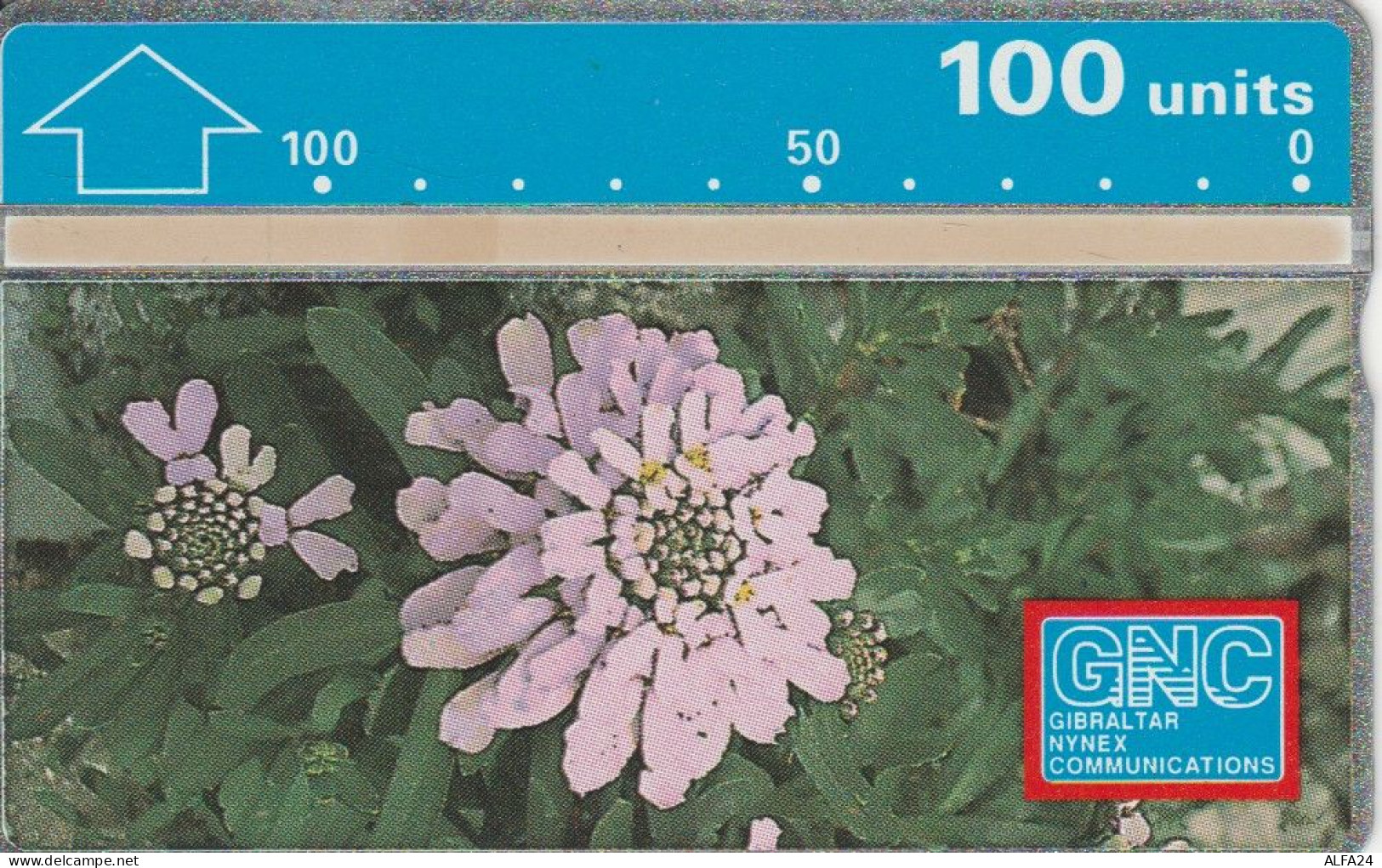 PHONE CARD GIBILTERRA   (E109.24.5 - Gibraltar