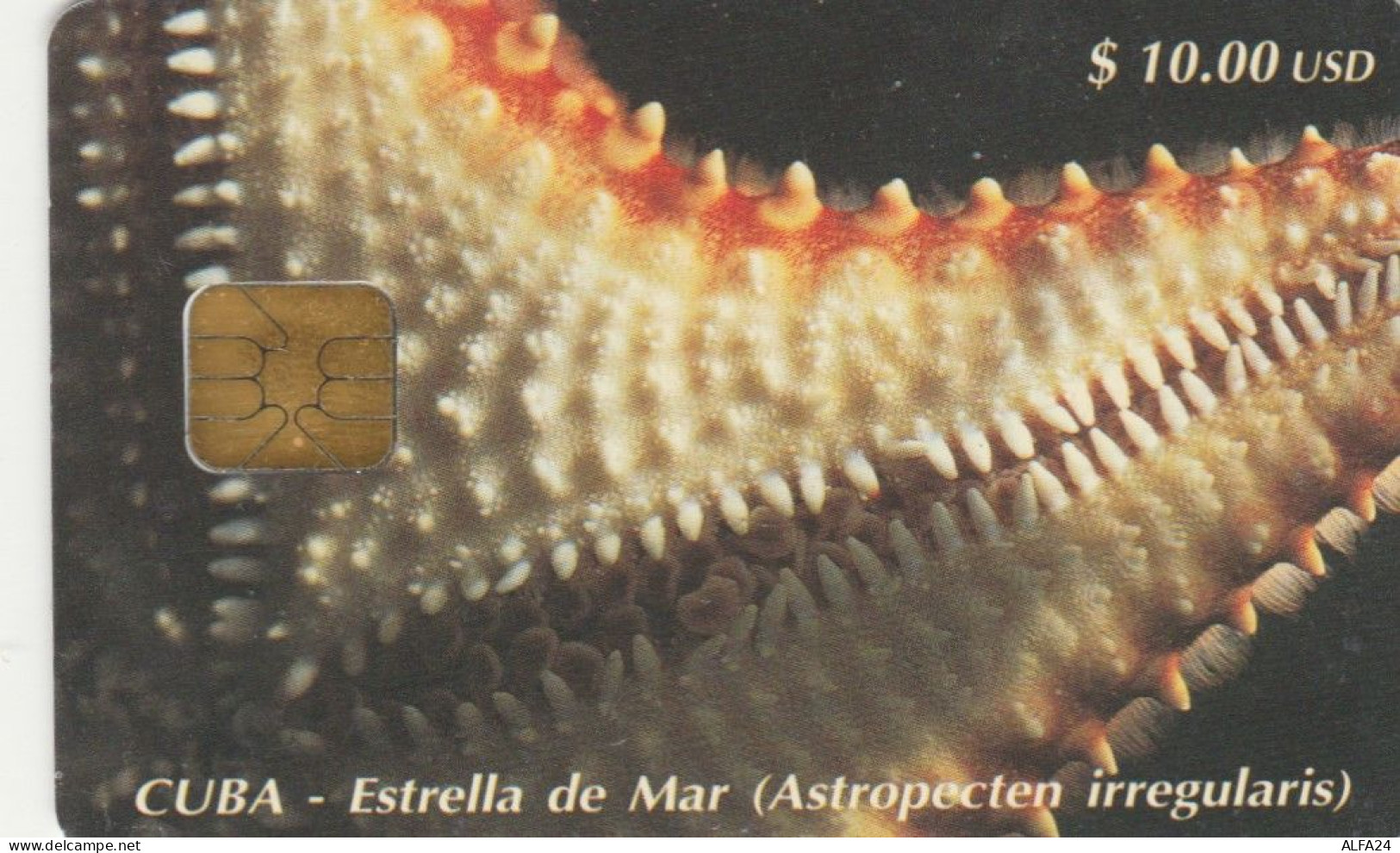 PHONE CARD CUBA  (E109.15.4 - Kuba