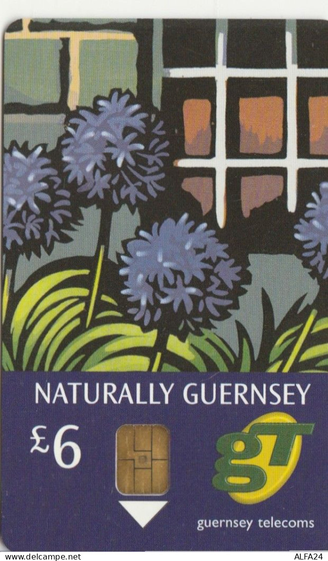 PHONE CARD GUERNSEY  (E109.11.5 - Jersey E Guernsey