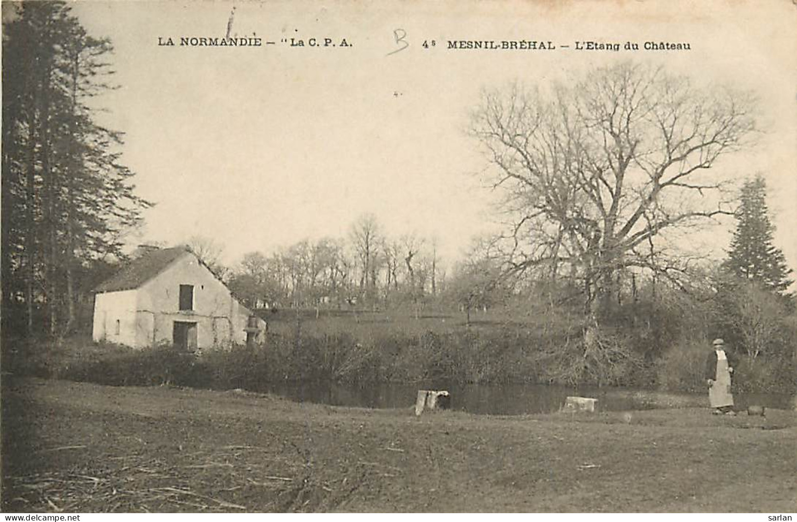50 , MESNIL-BREHAL , L'étang Du Chateau , * 416 98 - Brehal