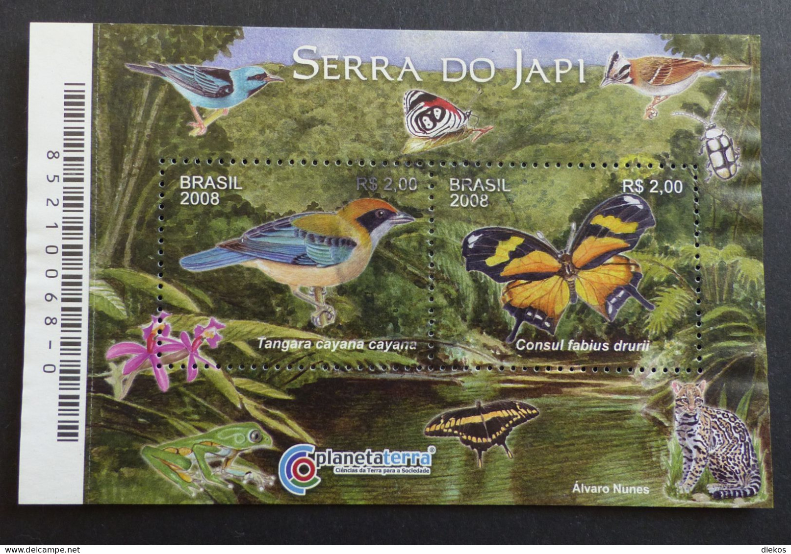 Brazil 2008 SERRA DO JAPI FAUNA AND FLORA BIRDS BUTTERFLIES ORCHIDS  Used   #6336 - Blocks & Sheetlets