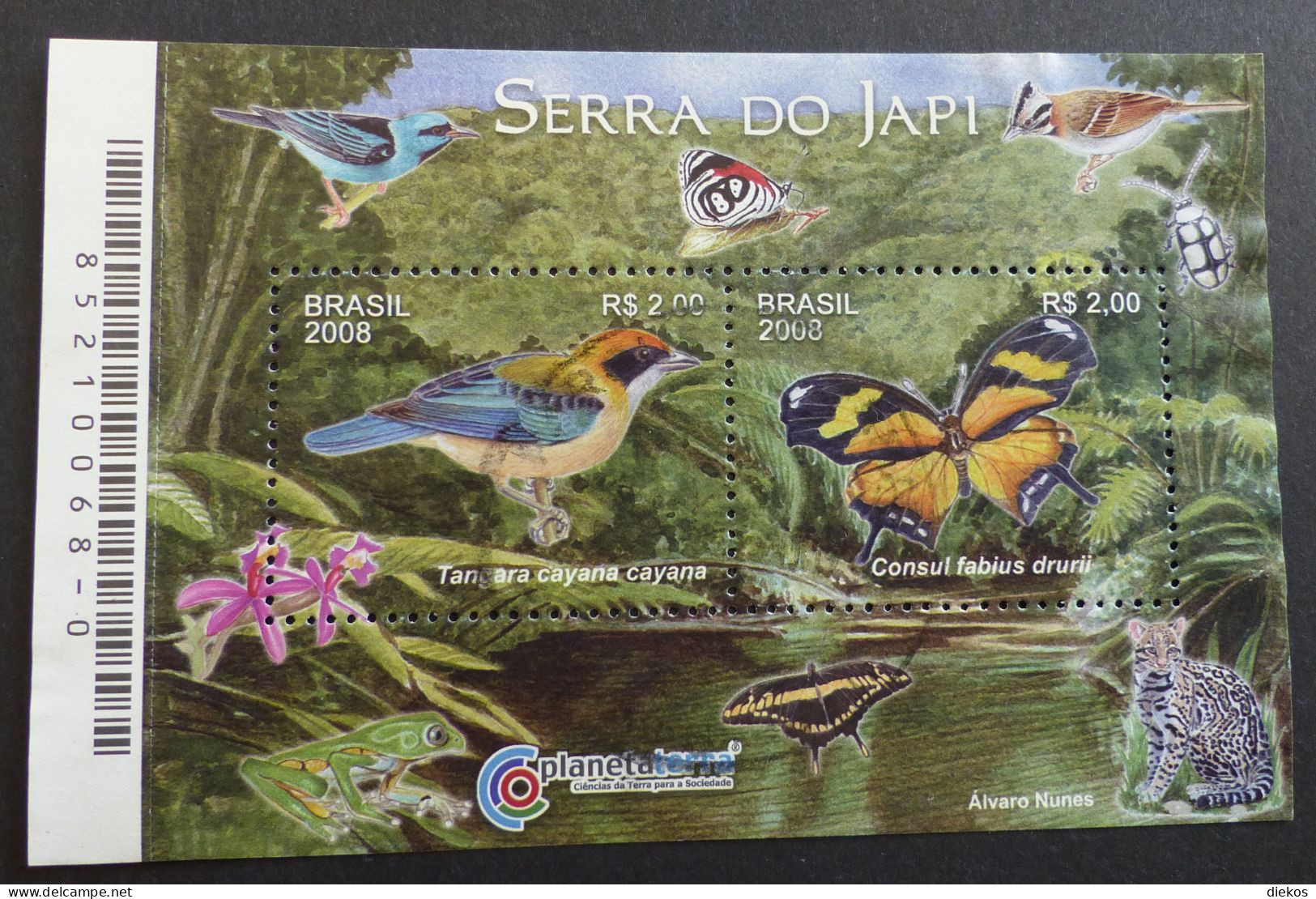 Brazil 2008 SERRA DO JAPI FAUNA AND FLORA BIRDS BUTTERFLIES ORCHIDS Block  Used   #6339 - Blocks & Sheetlets