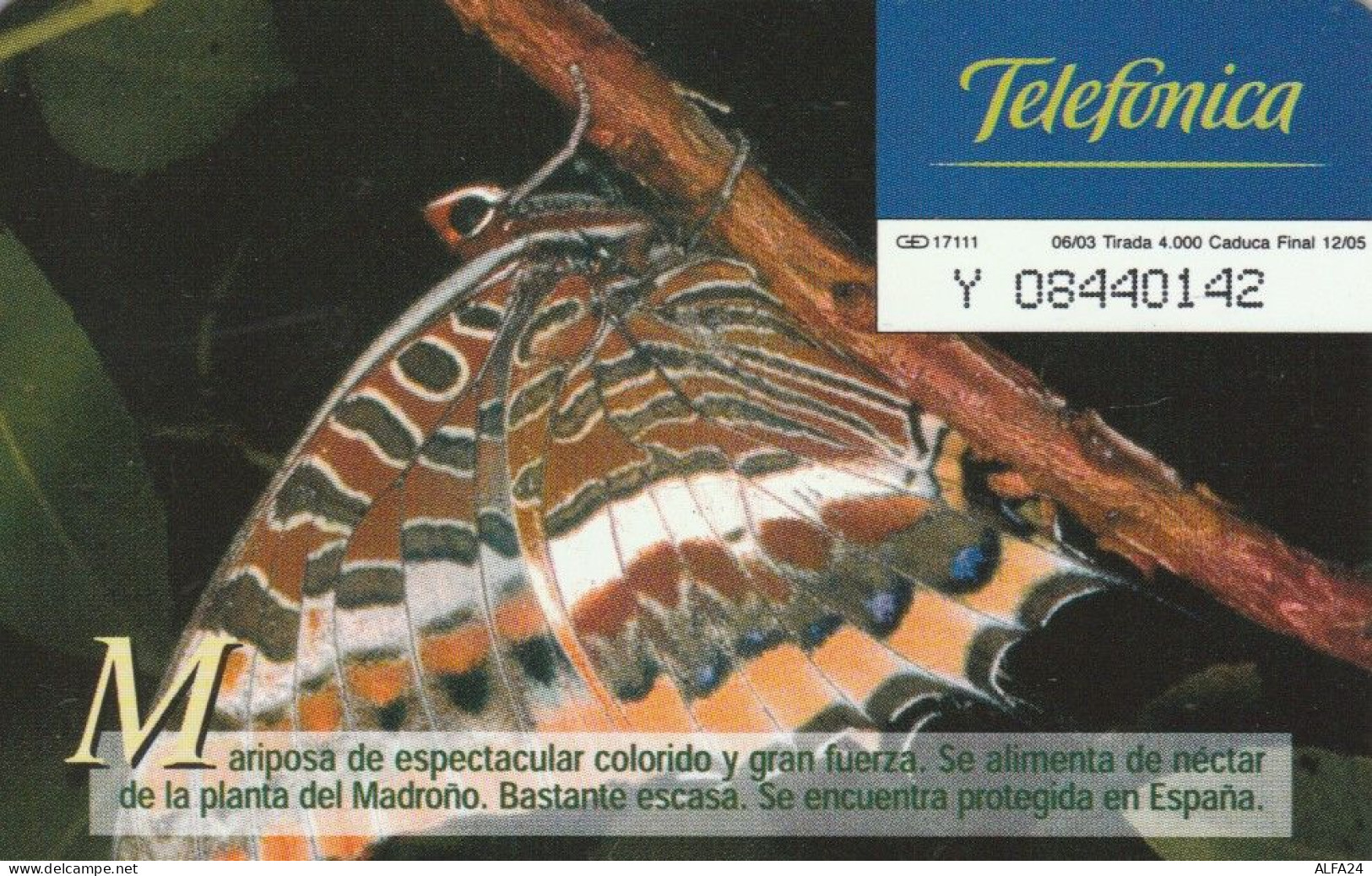 PHONE CARD SPAGNA PRIVATE TIR 4000  (E110.14.3 - Privé-uitgaven