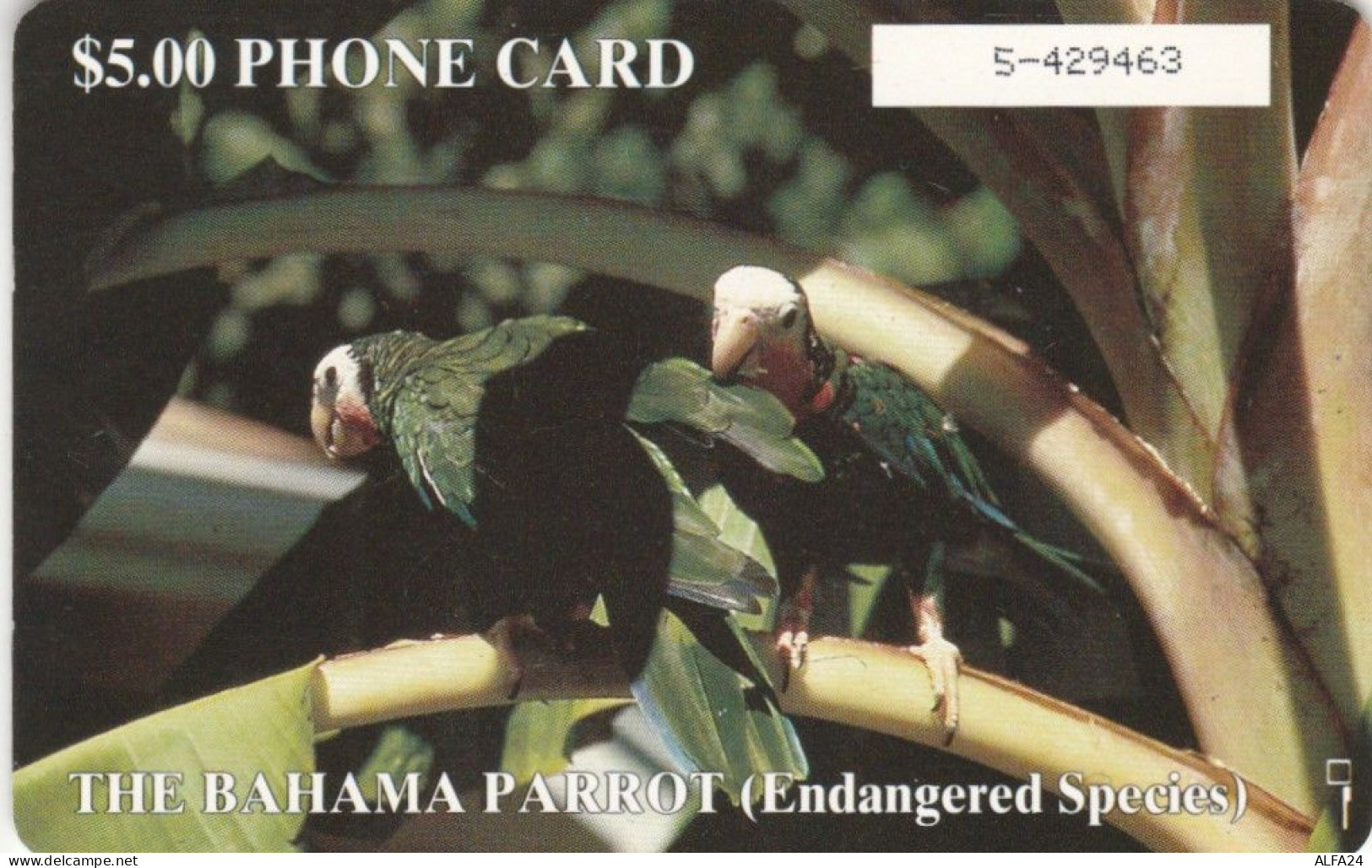 PHONE CARD BAHAMAS  (E110.12.2 - Bahamas