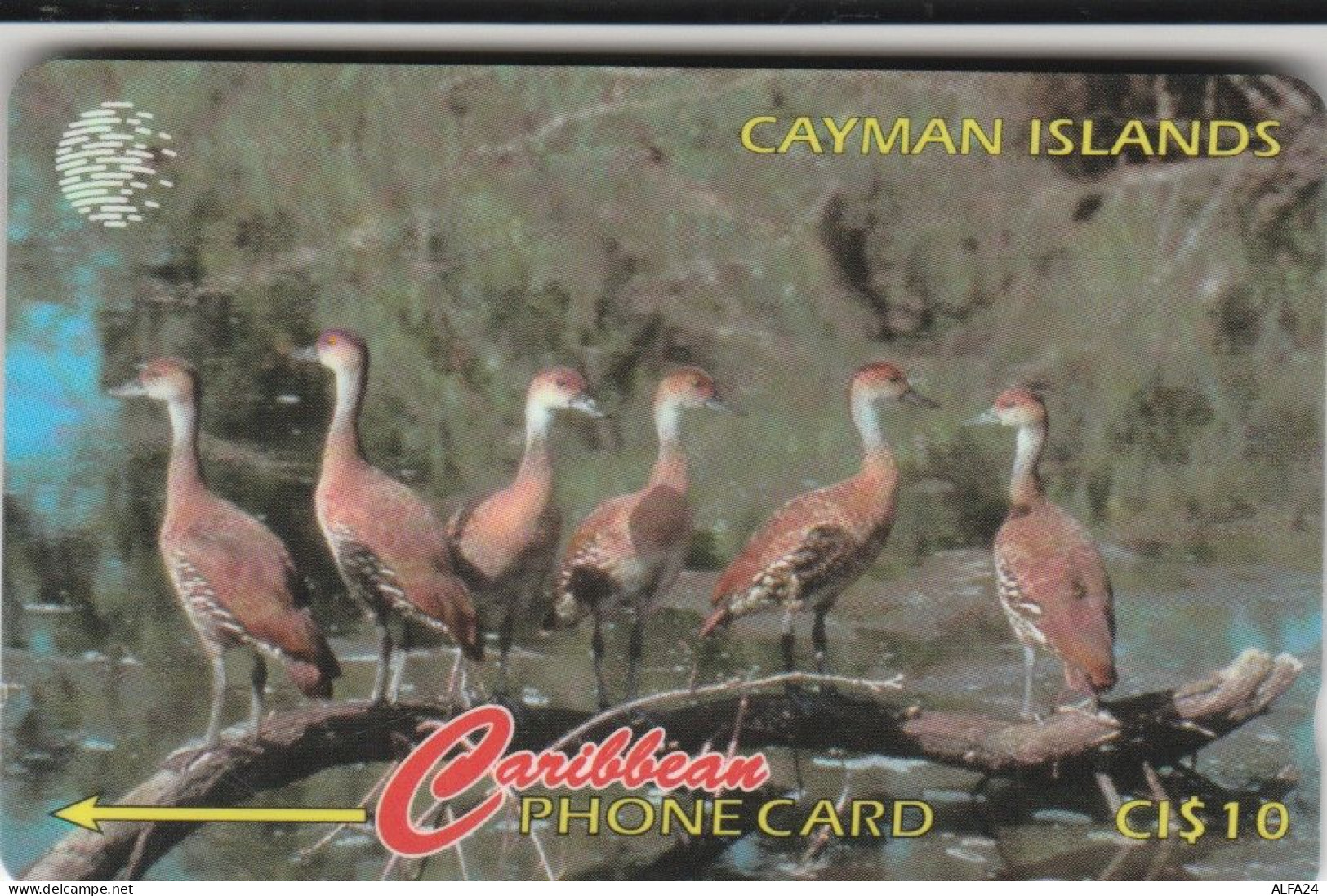 PHONE CARD CAYMAN ISLAND  (E110.7.2 - Kaimaninseln (Cayman I.)