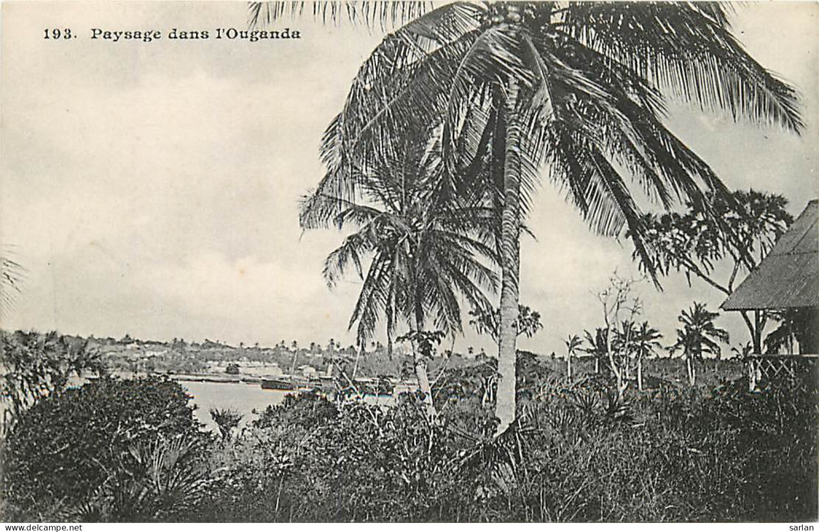 OUGANDA , Paysage , Messageries Maritimes , *  452 92 - Ouganda