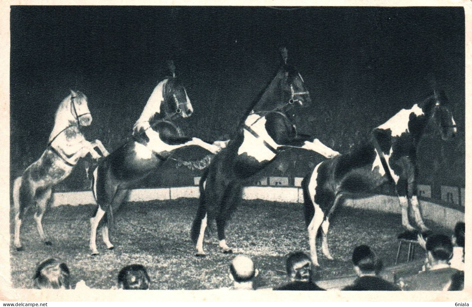 21167  La PYRAMIDE A QUATRE CHEVAUX Présentée Par La Maitre Ecuyer Al. GRUSS ( Cirque )  ( 2 Scans) - Cirque