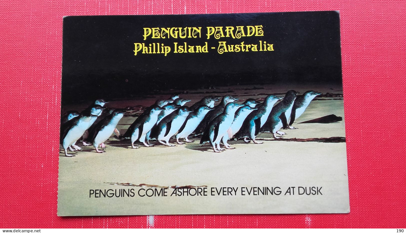 Penguin Parade.Phillip Island - Andere & Zonder Classificatie