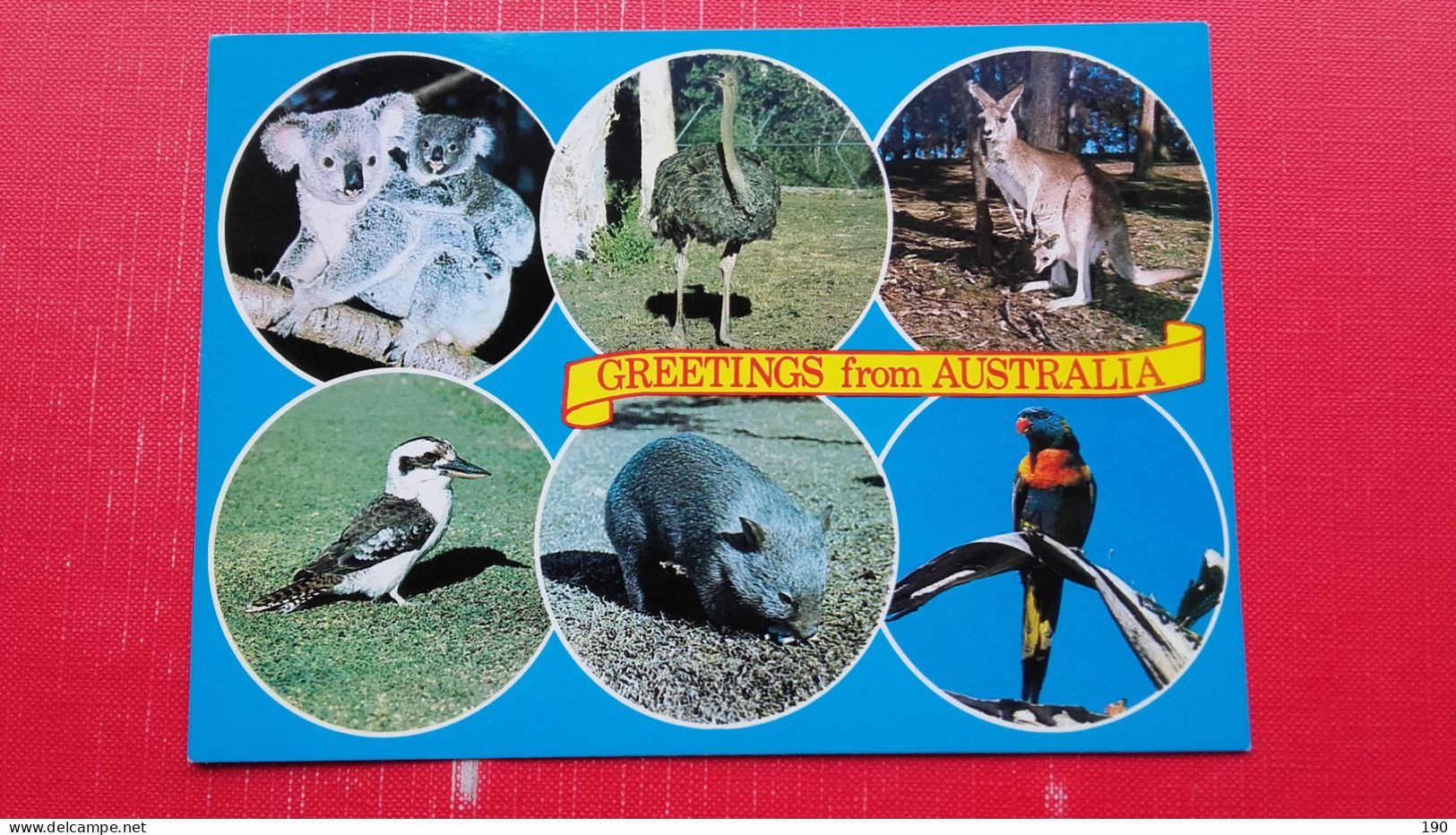 Koala And Baby,Emu,Kangaroo With Joey,Kookaburra,Wombat,Rainbow Lorikeet - Outback