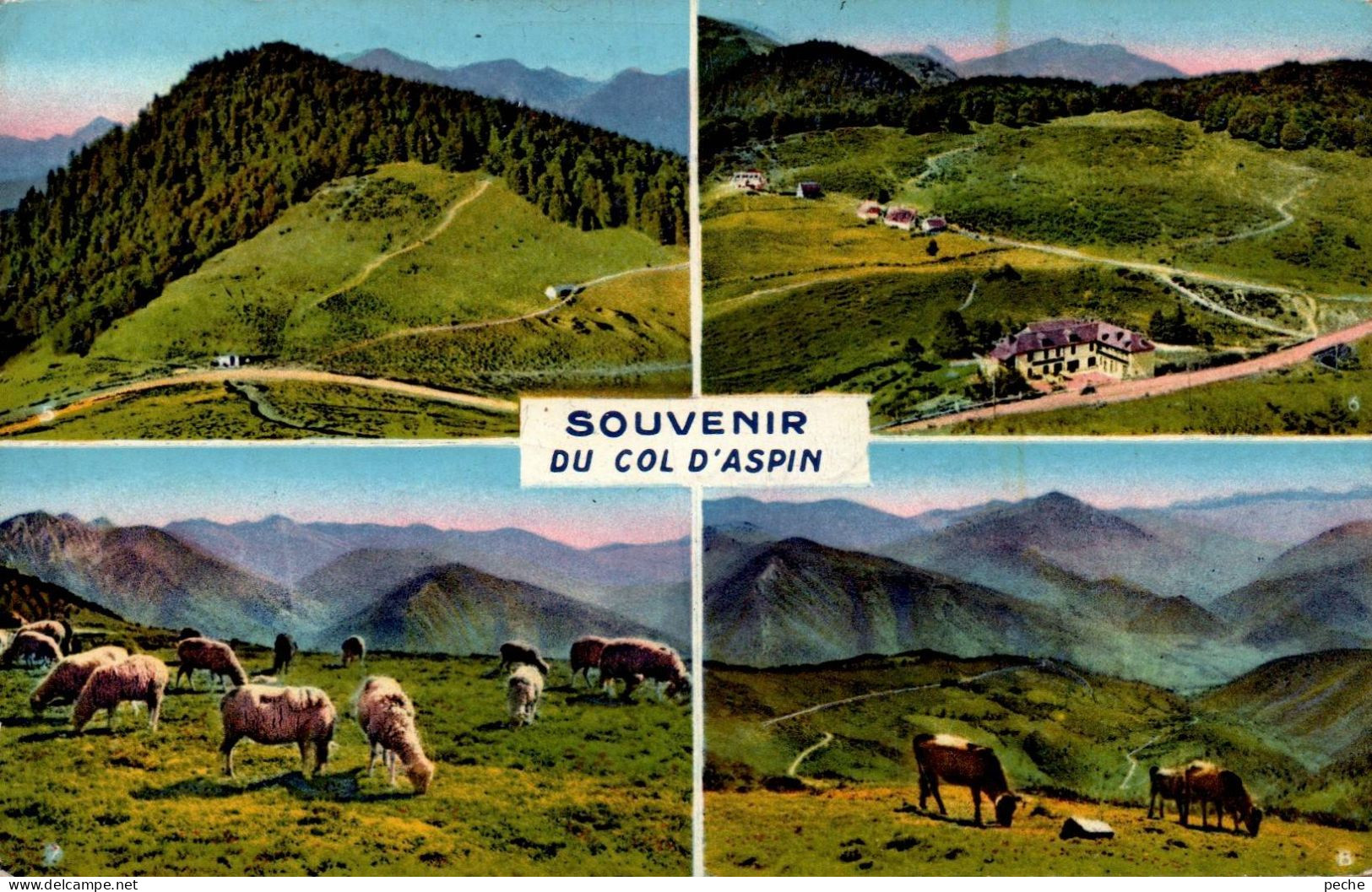 N°120763 -cpsm Souvenir Du Col D'Aspin - Saluti Da.../ Gruss Aus...