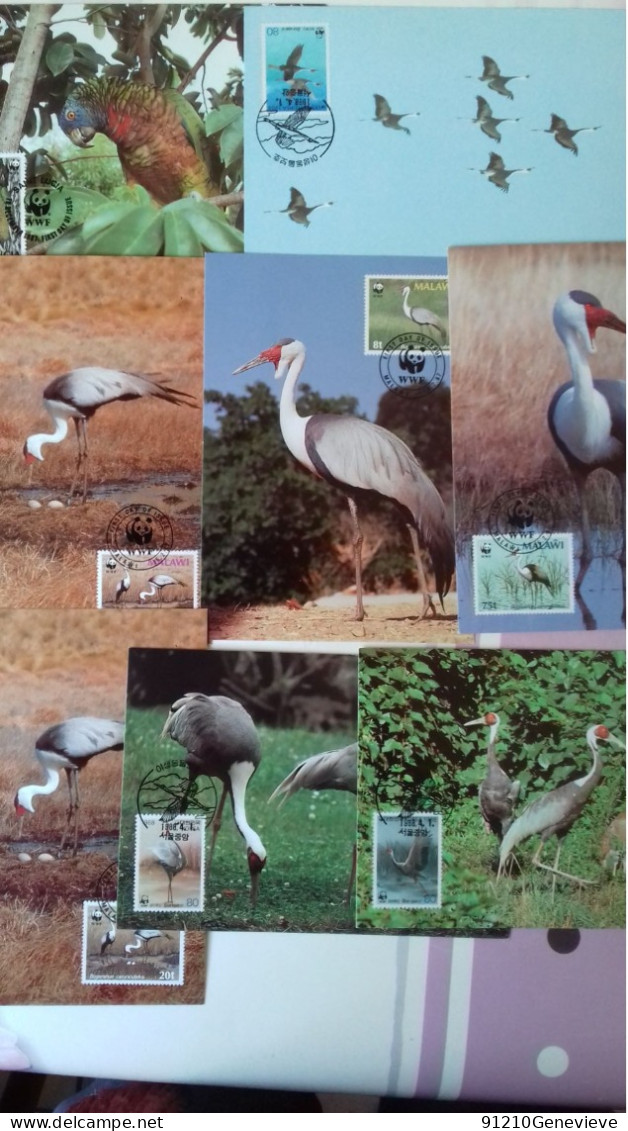 WWF - CARTE MAXIMUM  1ER JOUR  OISEAUX  (LOT De 50) - Cartes-maximum