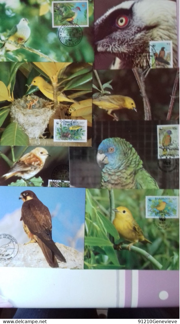 WWF - CARTE MAXIMUM  1ER JOUR  OISEAUX  (LOT De 50) - Cartes-maximum