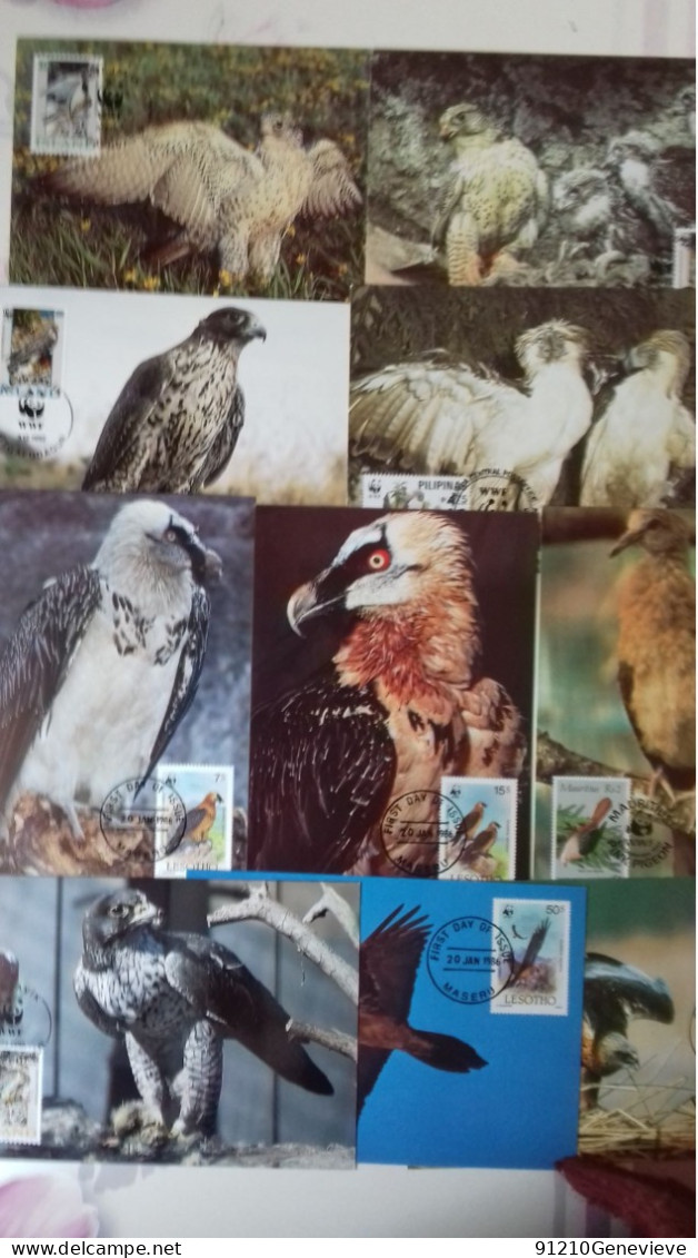 WWF - CARTE MAXIMUM  1ER JOUR  OISEAUX  (LOT De 50) - Cartes-maximum