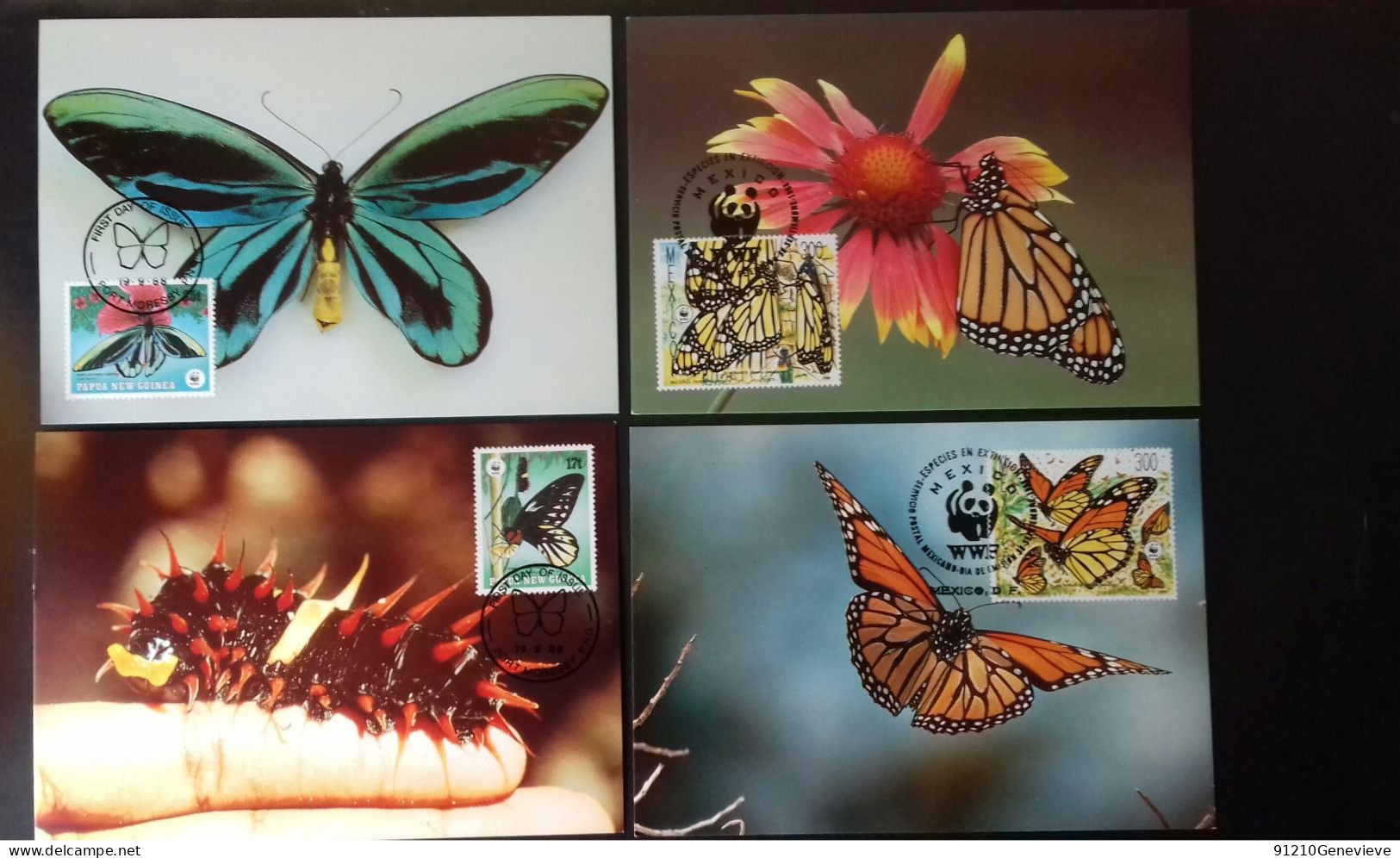 WWF CARTE MAXIMUM 1ER JOUR  PAPILLONS   (LOT) - Maximumkarten